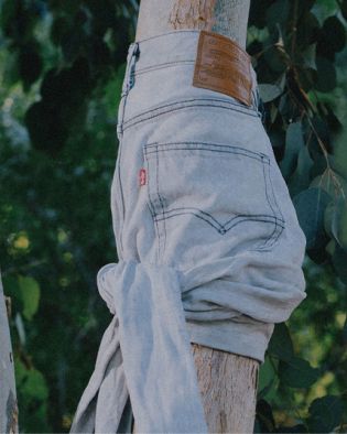 Feuille de chanvre et jeans Levi's® en coton durable.