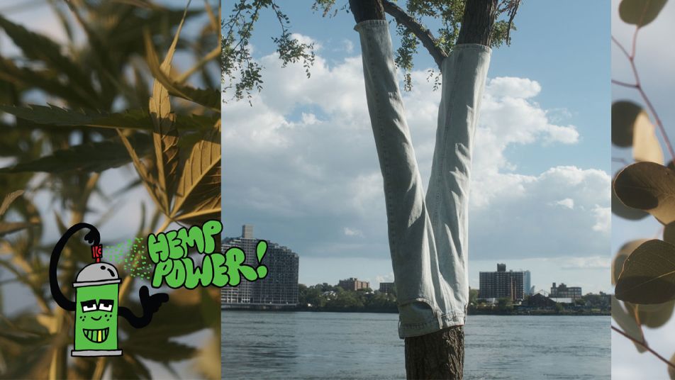 Sustainable Denim Levi's® Jeans