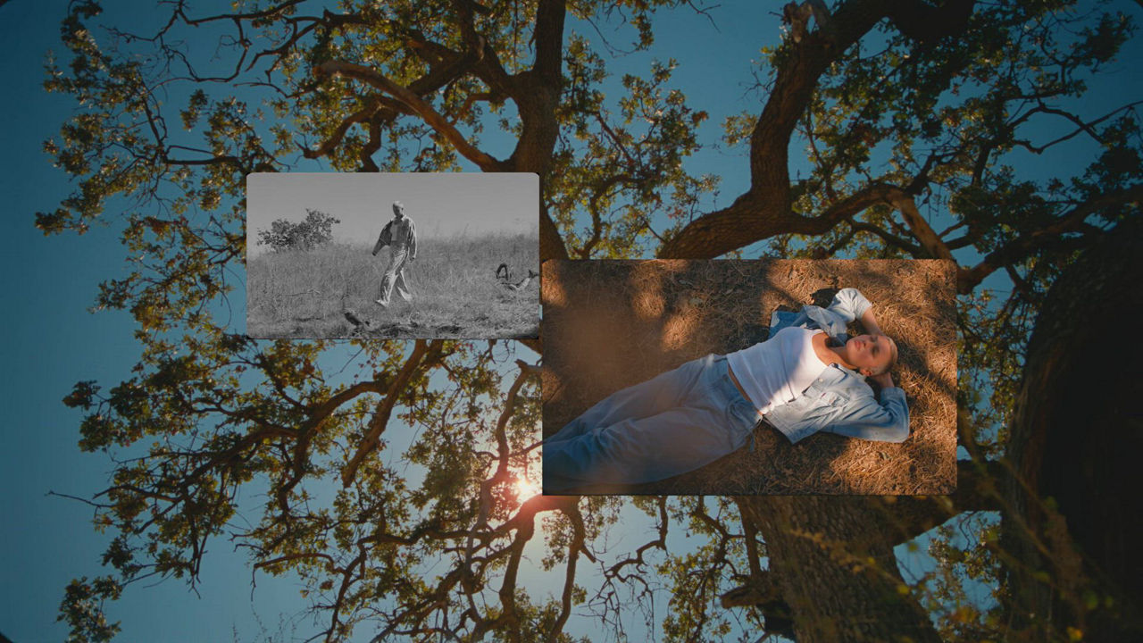 Video of Levi’s® Linen+ Denim