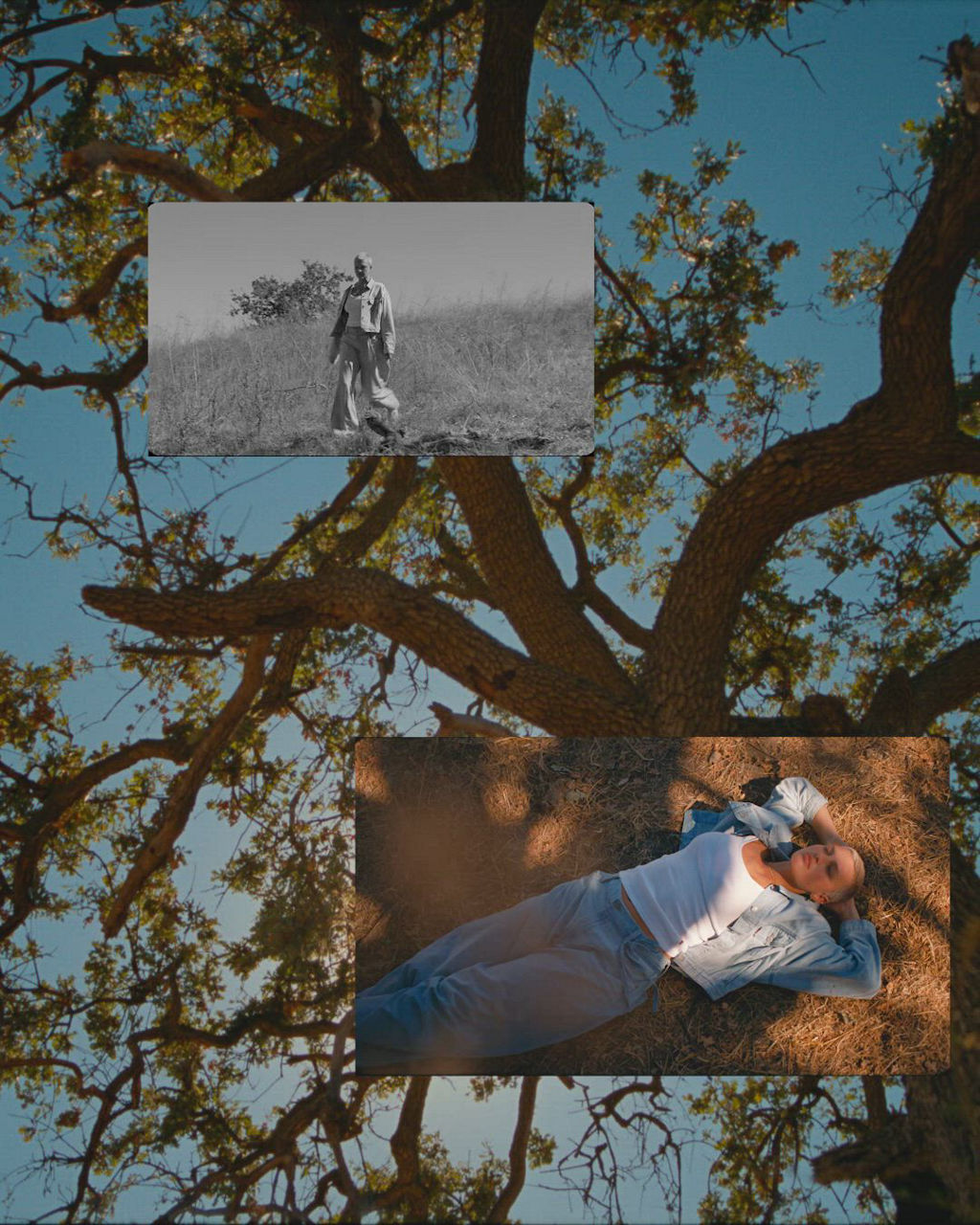 Video of Levi’s® Linen+ Denim