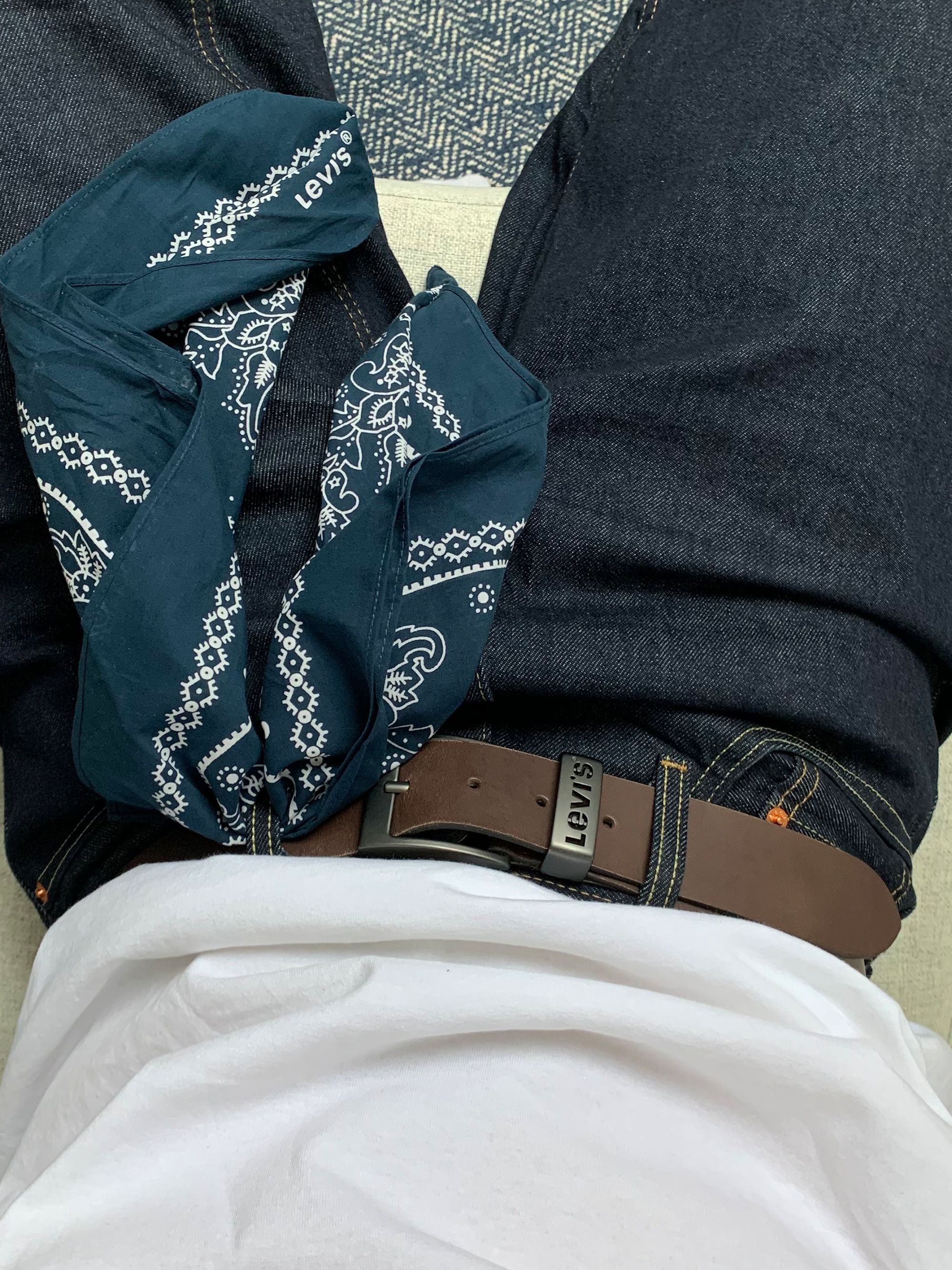 Paisley Bandana