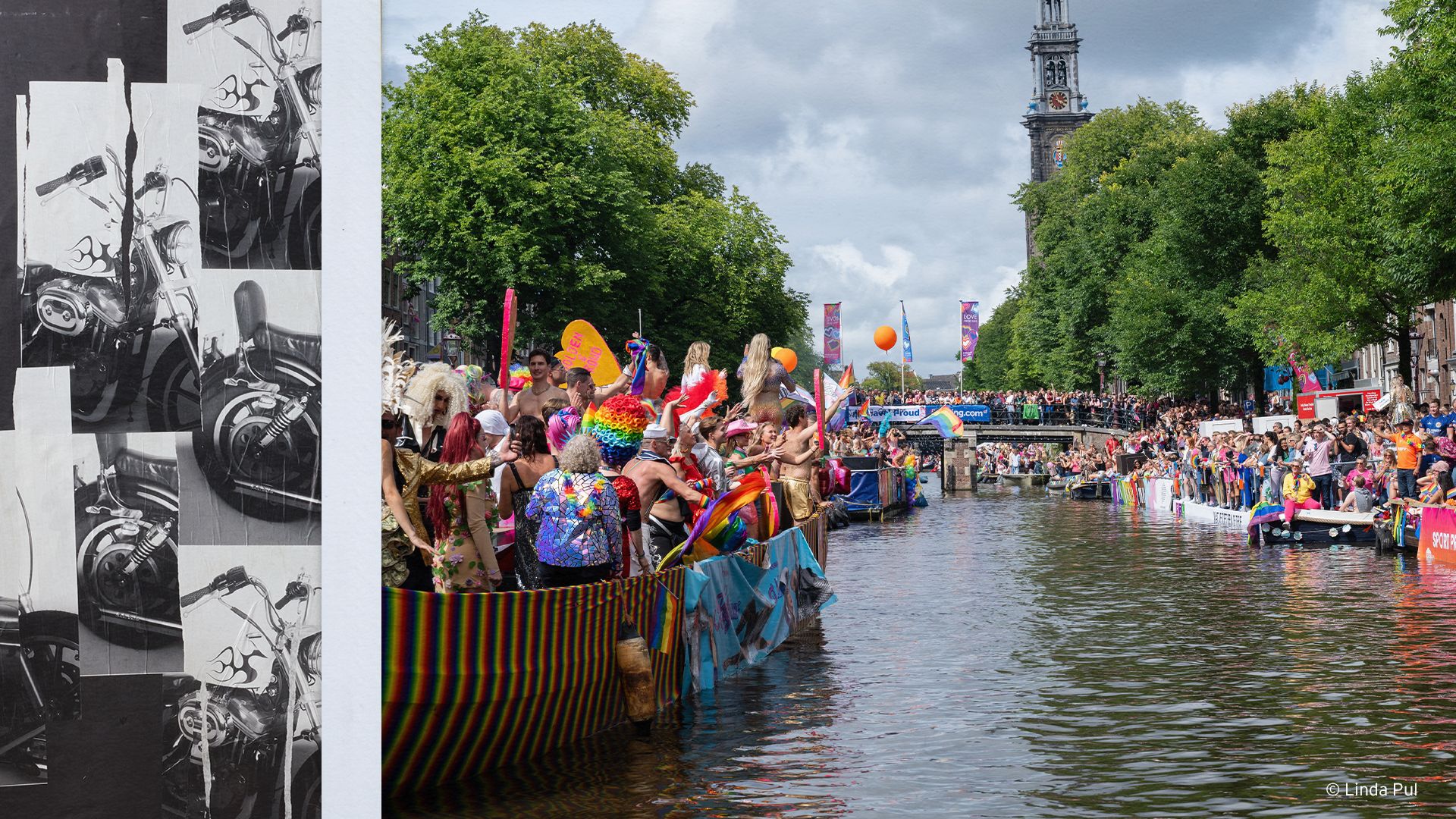 Pride Image