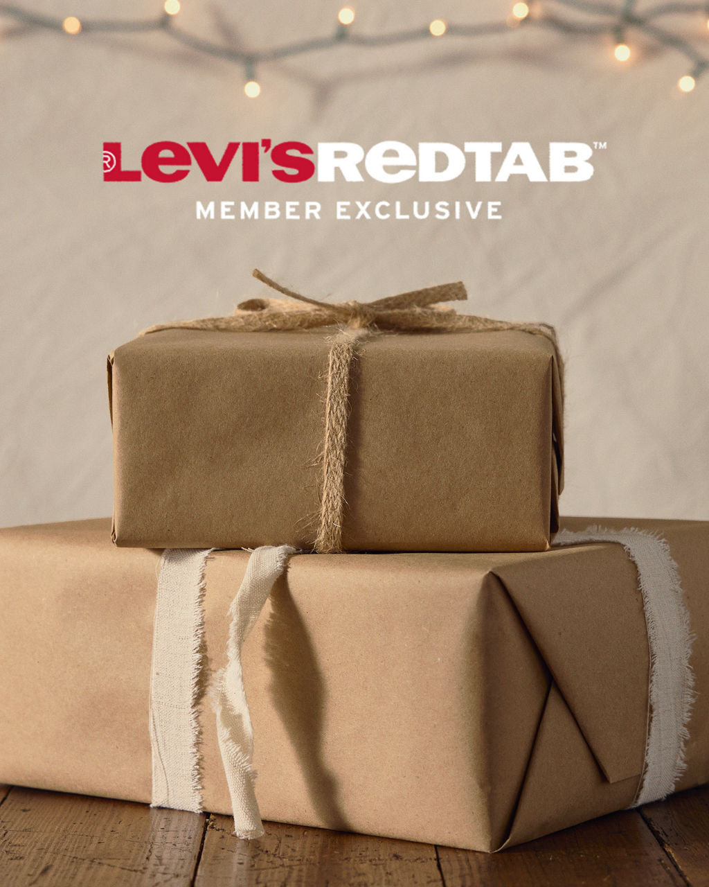 Briefed Evergreen Holiday PLP