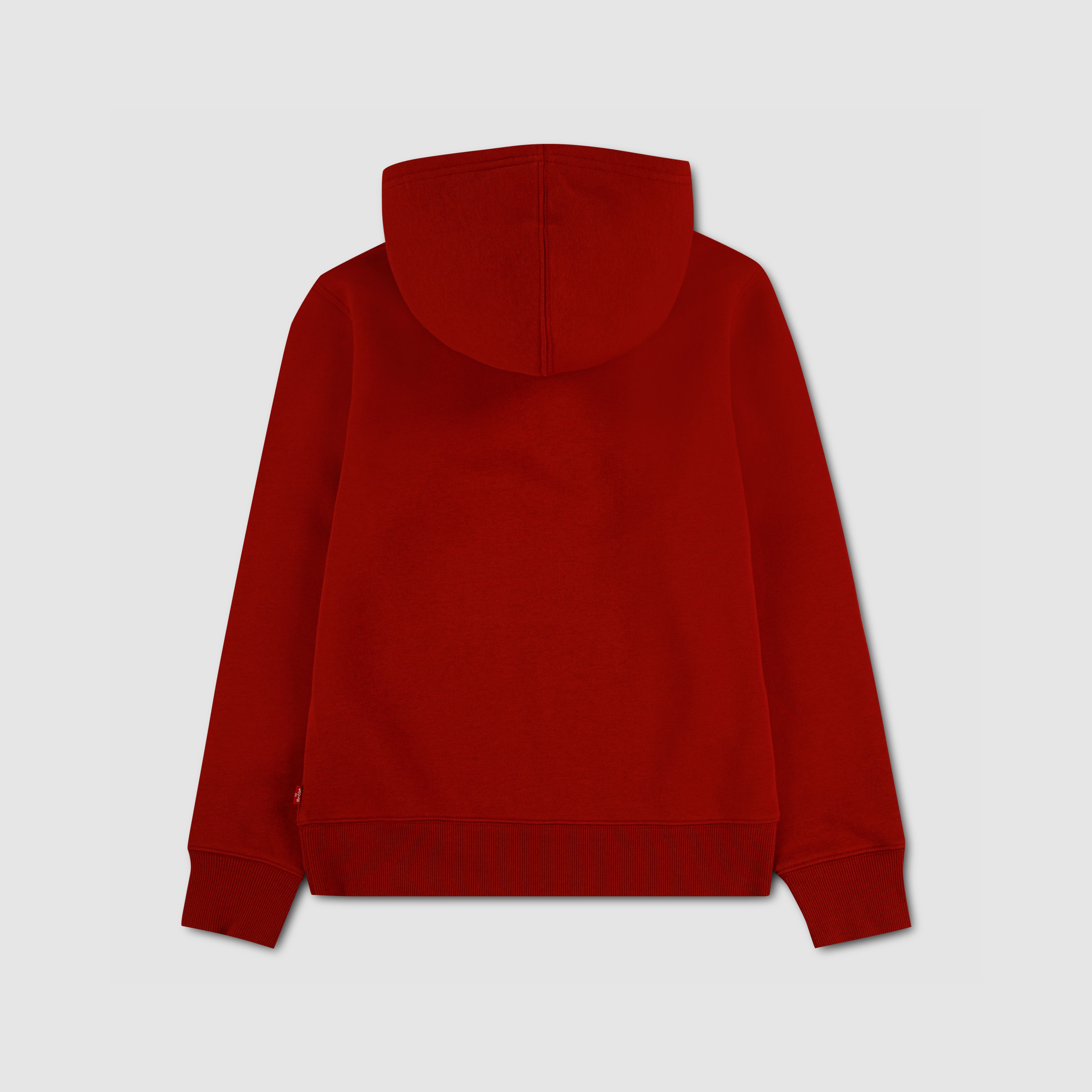 Mini Batwing Logo Hoodie (Boys 8-20)