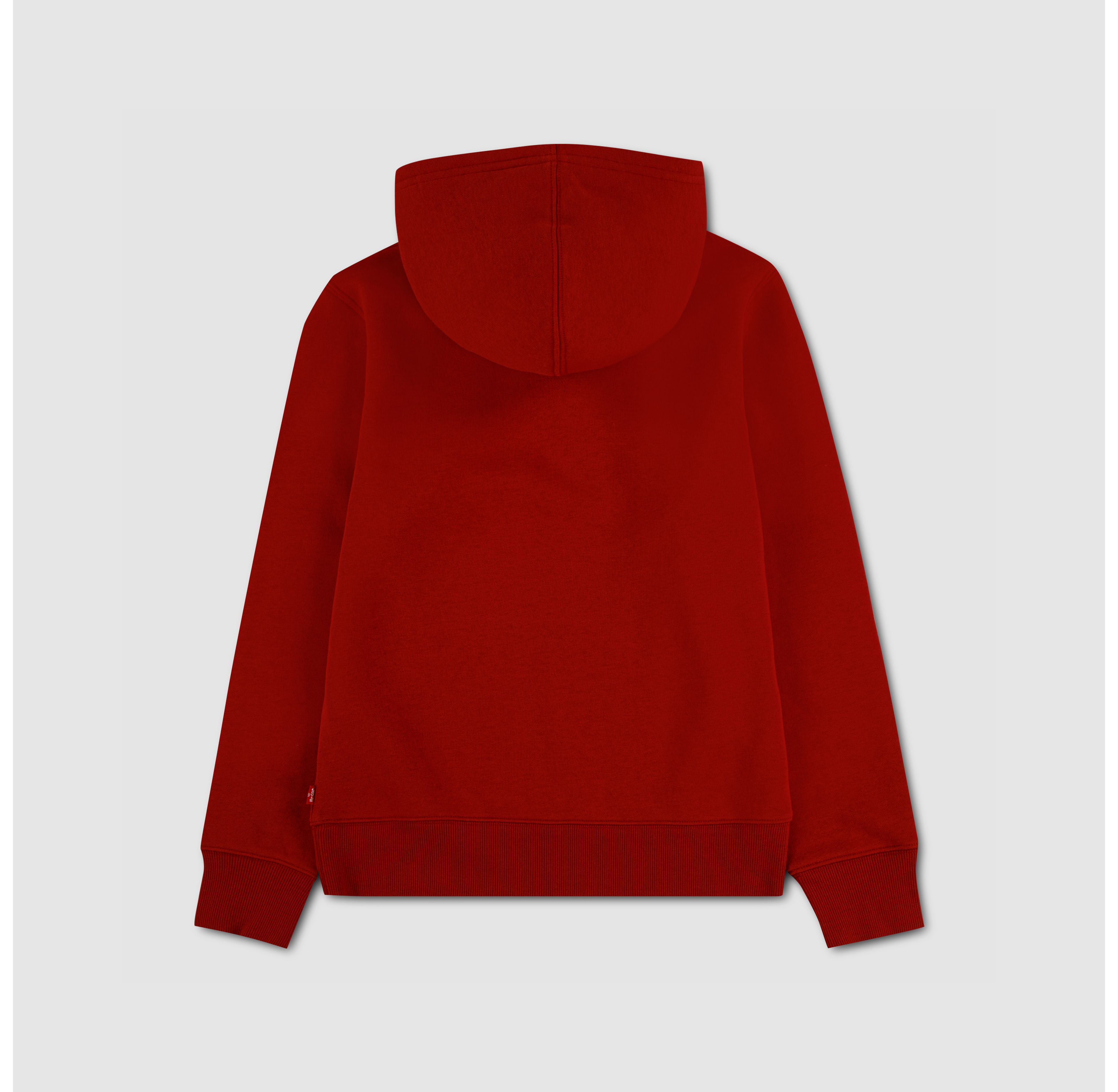 Mini Batwing Logo Hoodie (Boys 8-20)