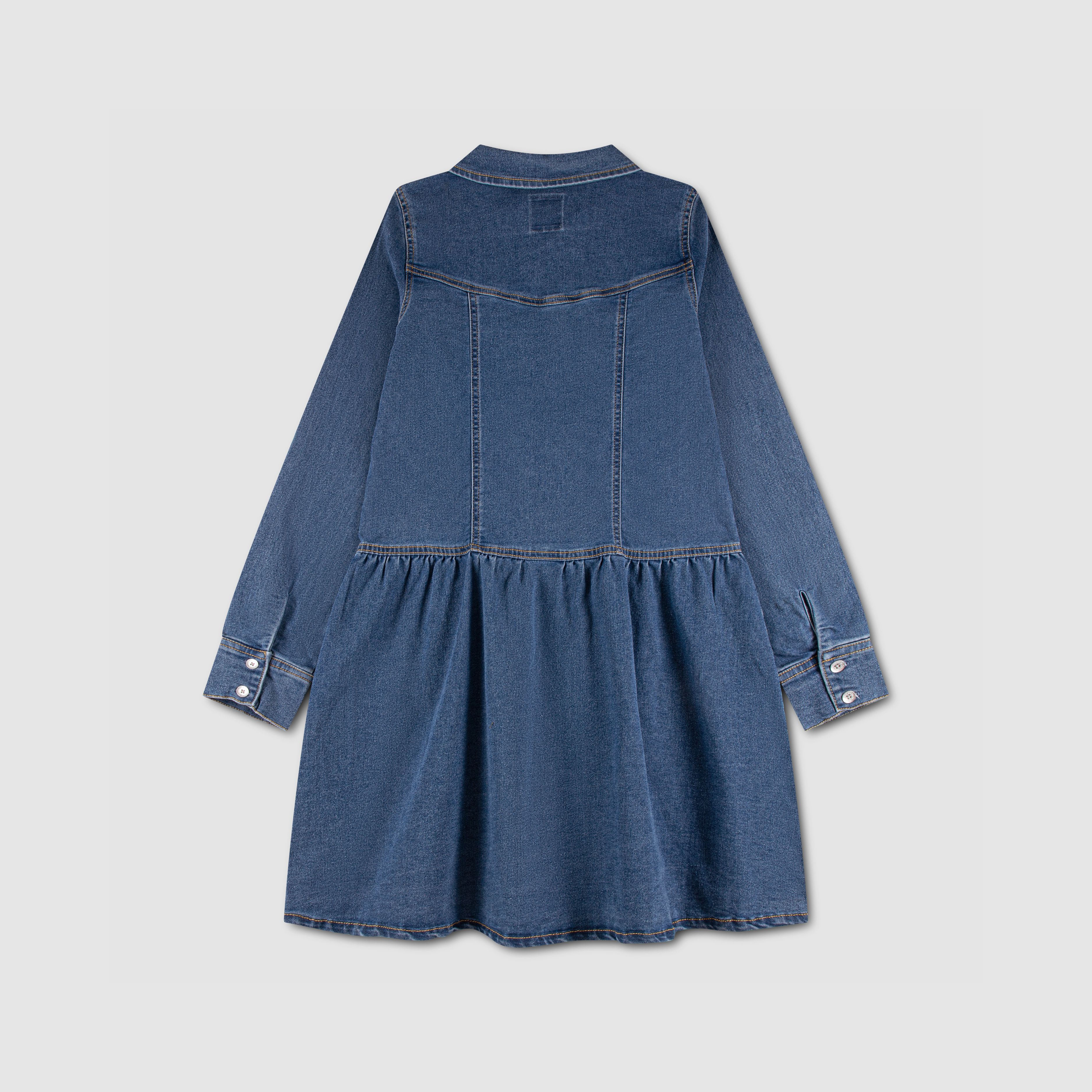 Long Sleeve Drop Waist Dress (Girls 7-16)