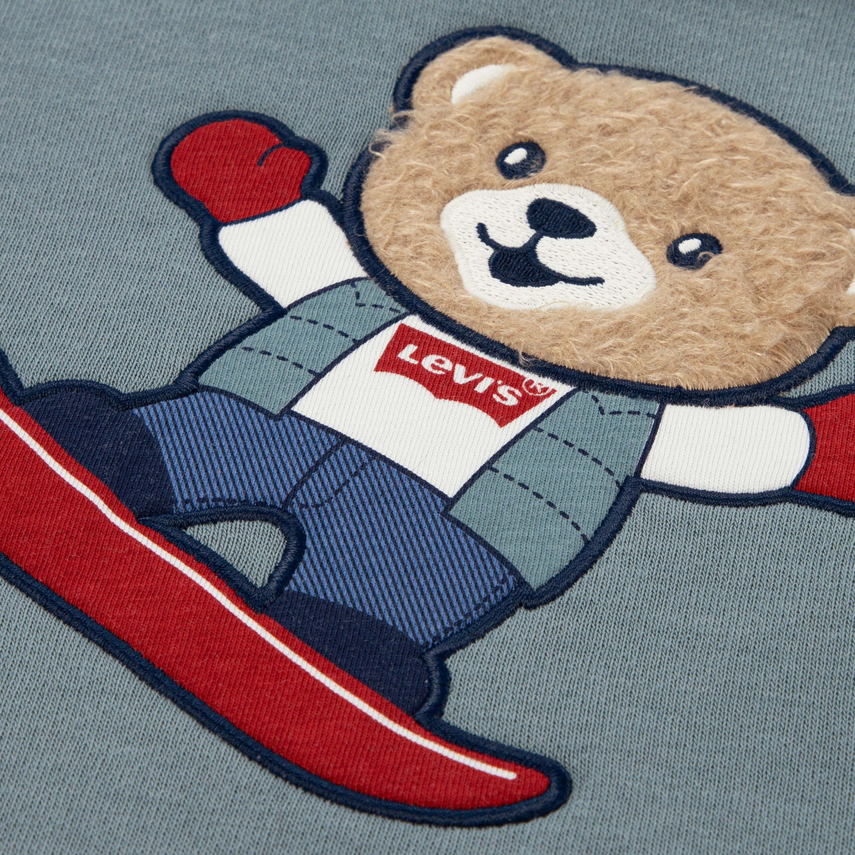 Bear Knit Set Toddler Boys 2T-4T 3