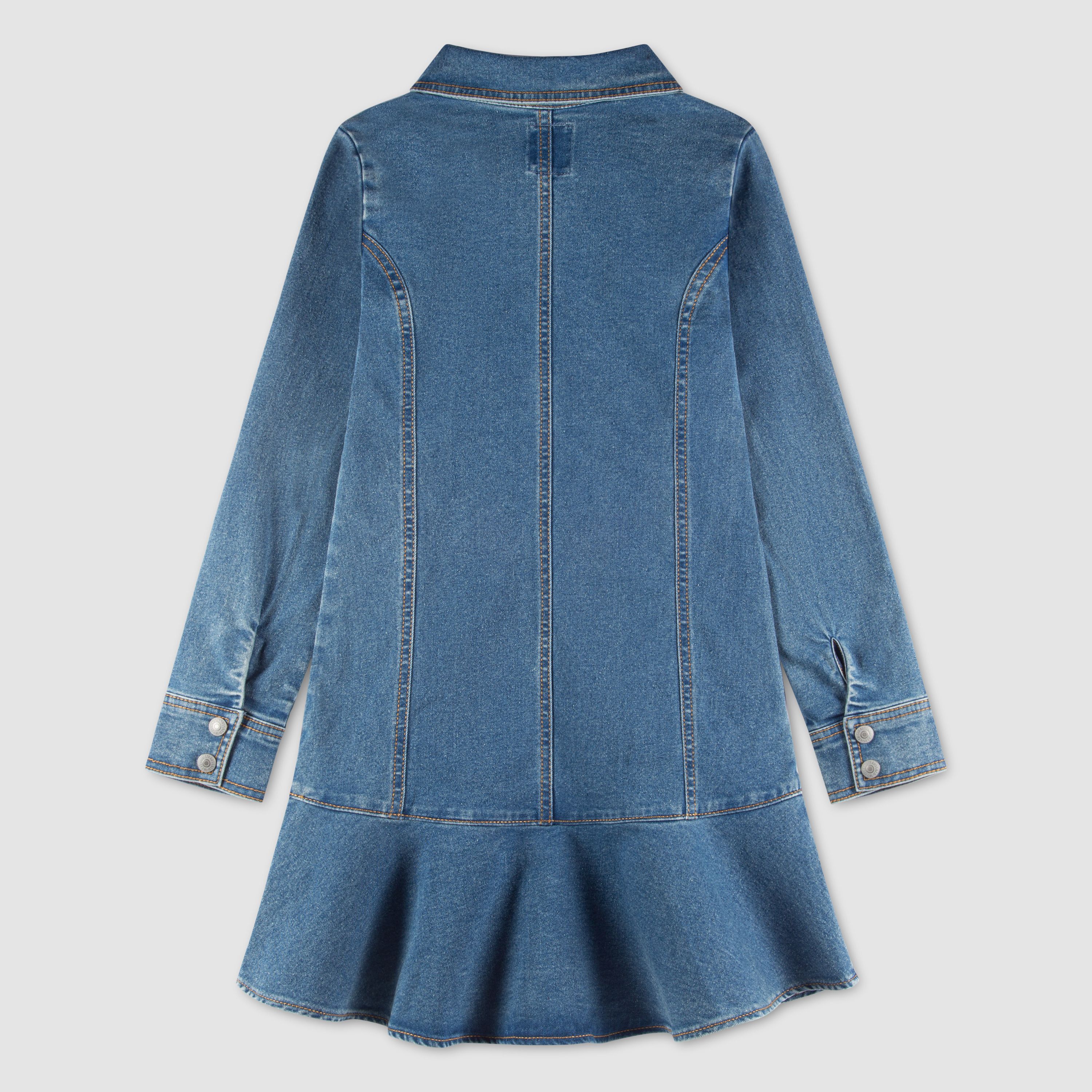 Long Sleeve Button Up Dress Little Girls 4-6X 2