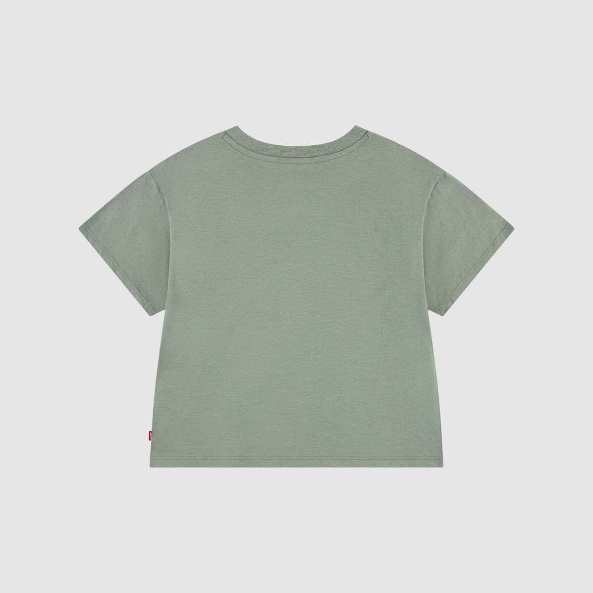 Flower Market Oversized Tee Toddler Girls 2T-4T — Sea Spray - Green