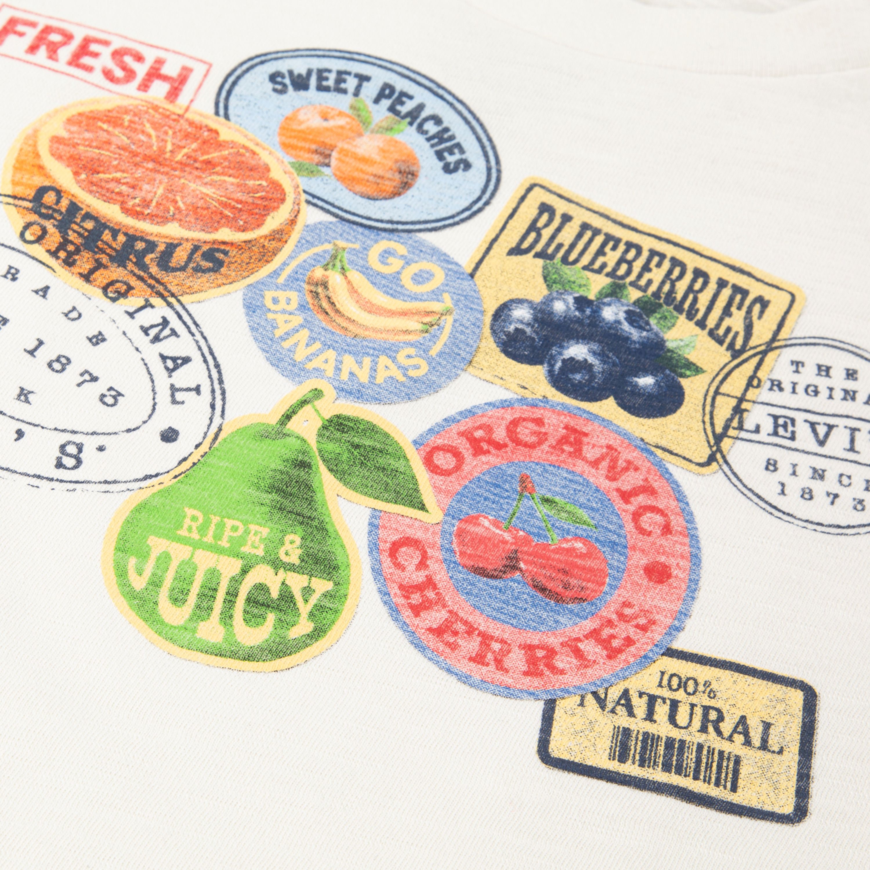 Fruit Stickers Top Big Girls 7-16 3