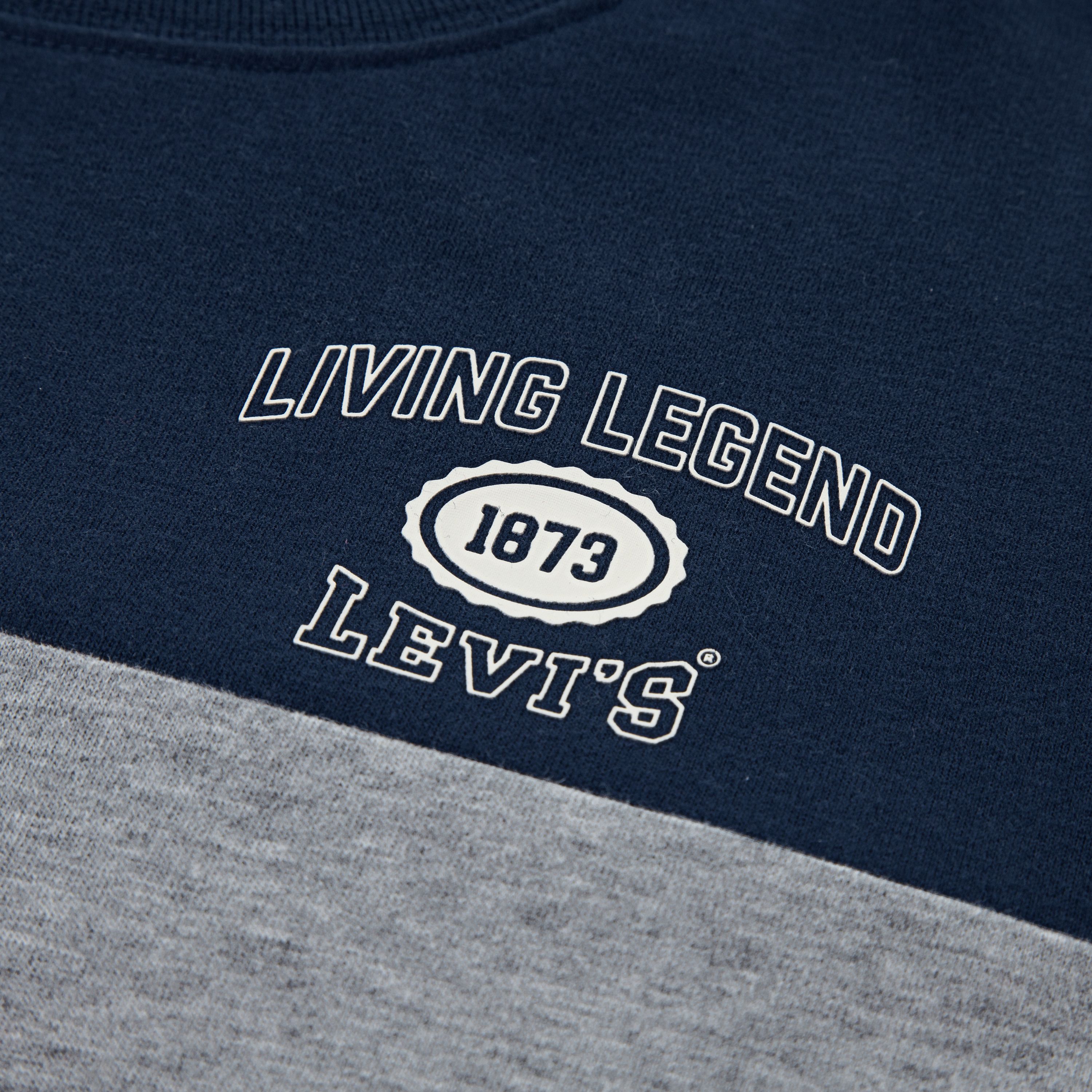 Retro Sport Tee Big Boys S-XL 3