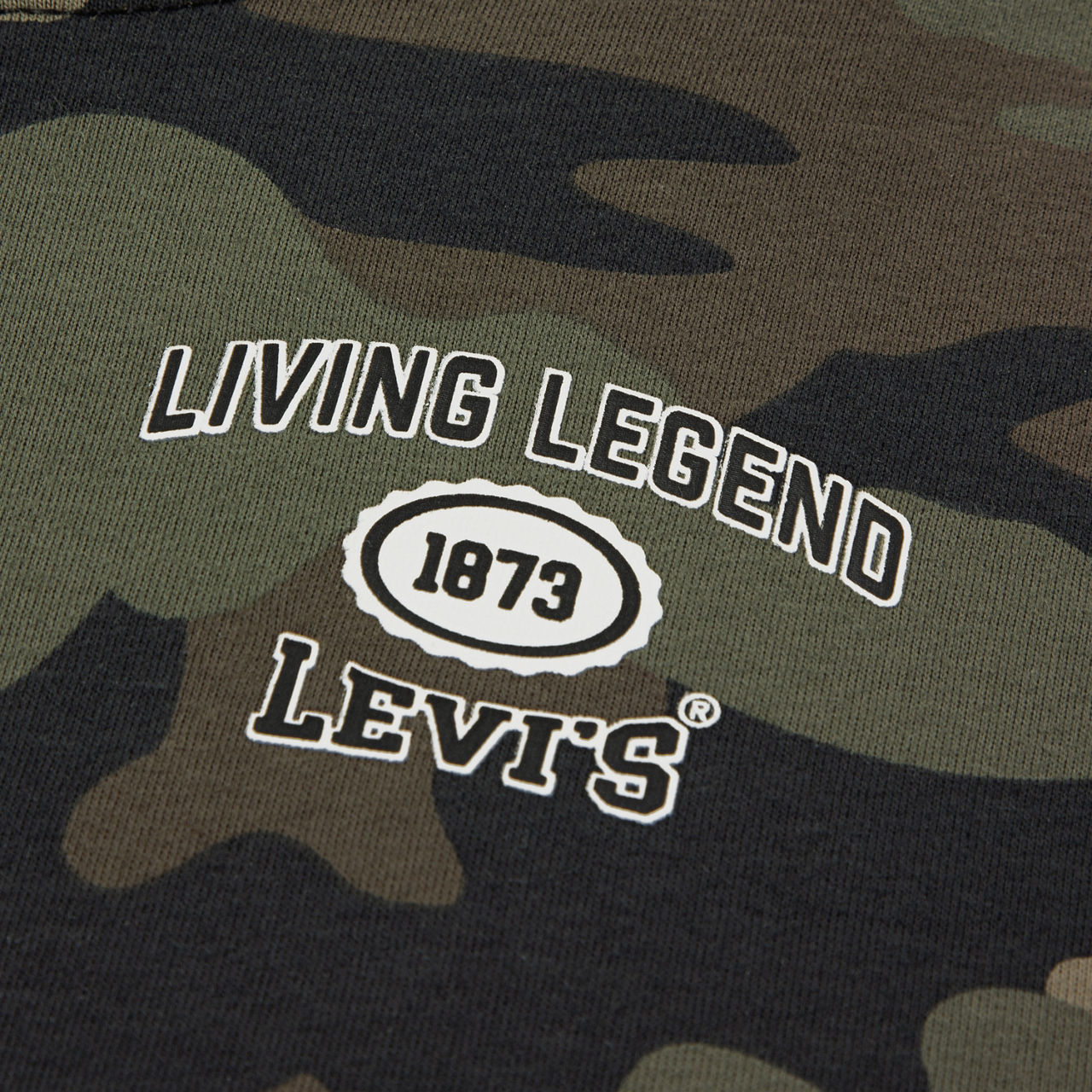 Camo Covered Tee Little Boys 4-6X