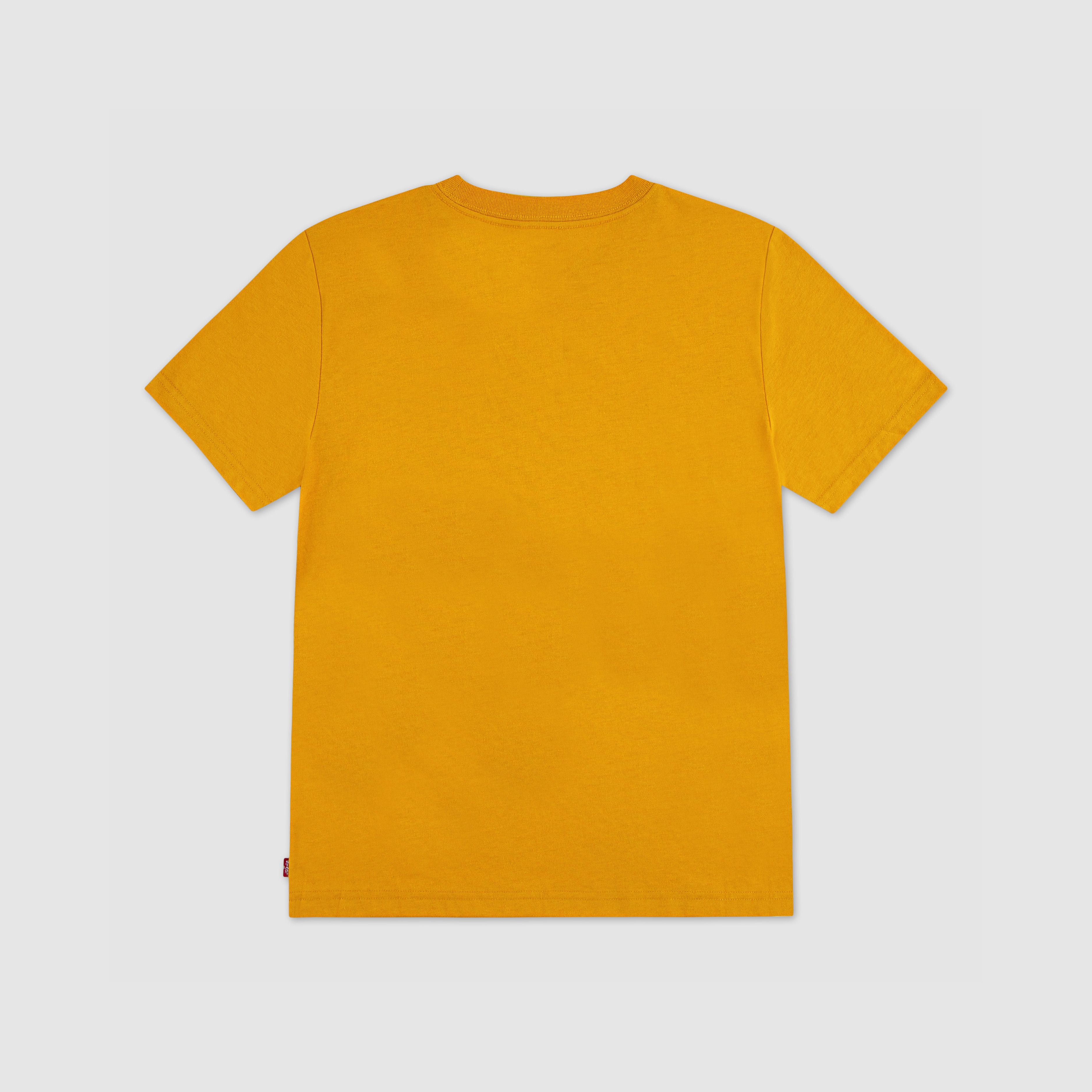 Big Rig Tee Big Boys S-XL 2