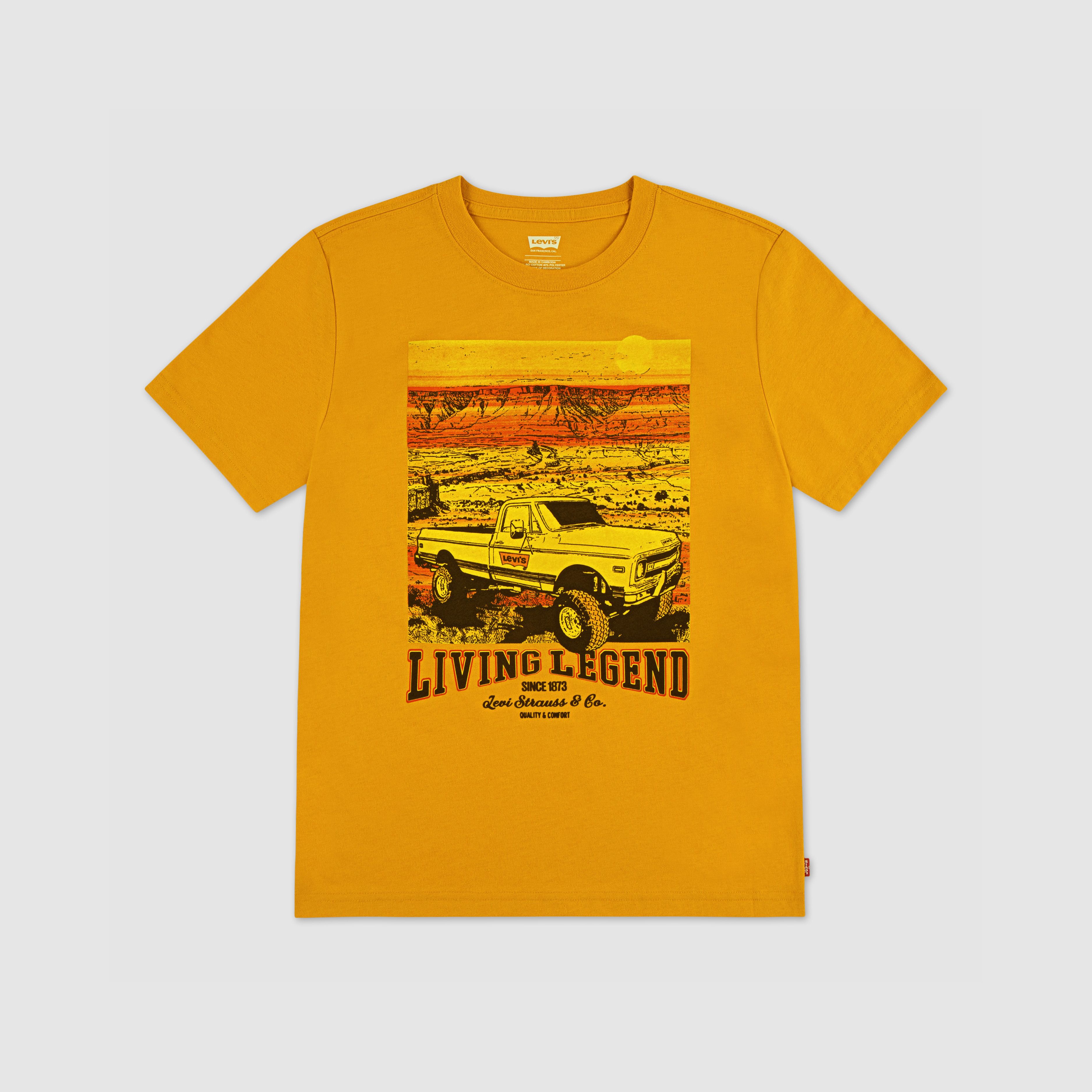 Big Rig Tee Big Boys S-XL 1