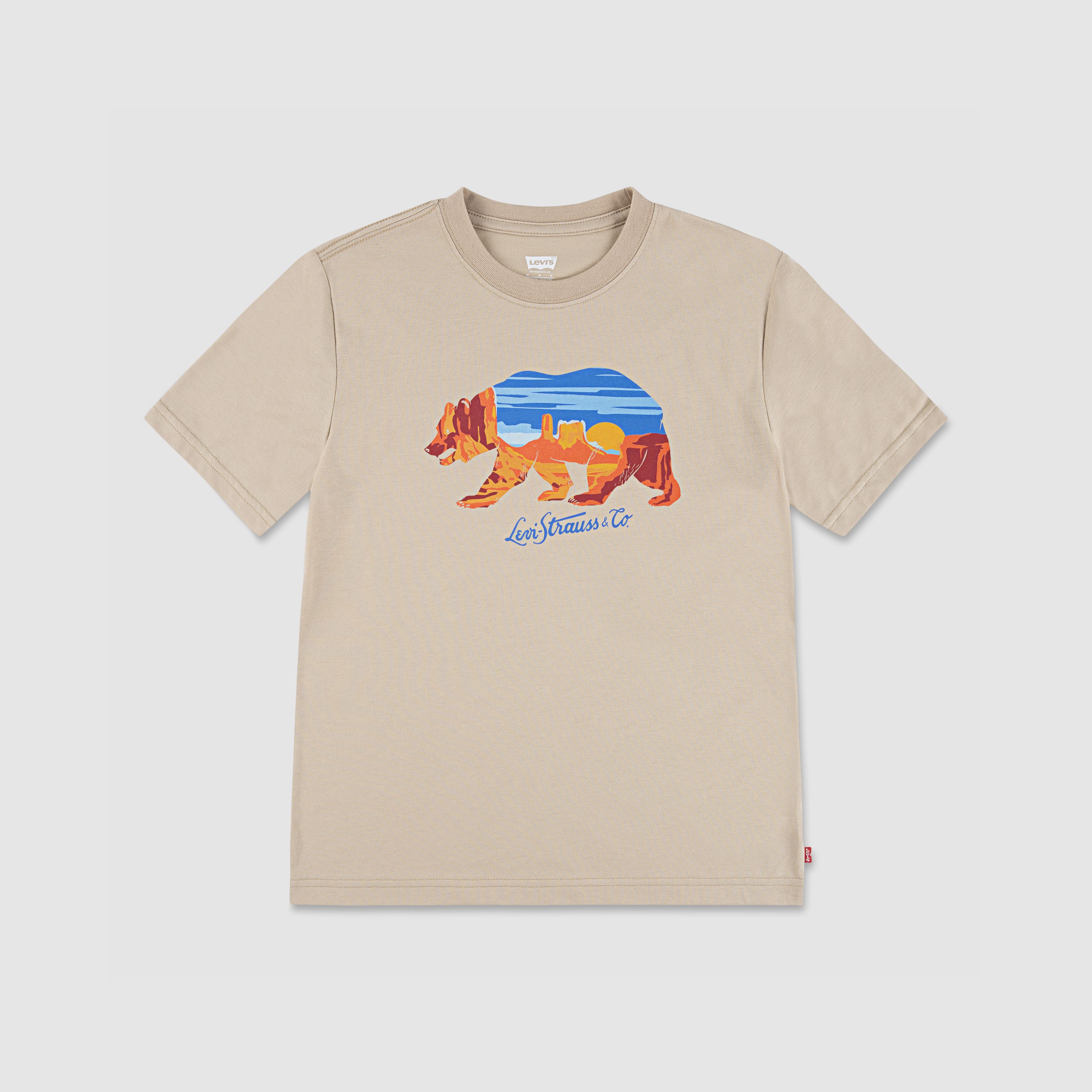 Scenic Bear Tee Big Boys S-XL 1