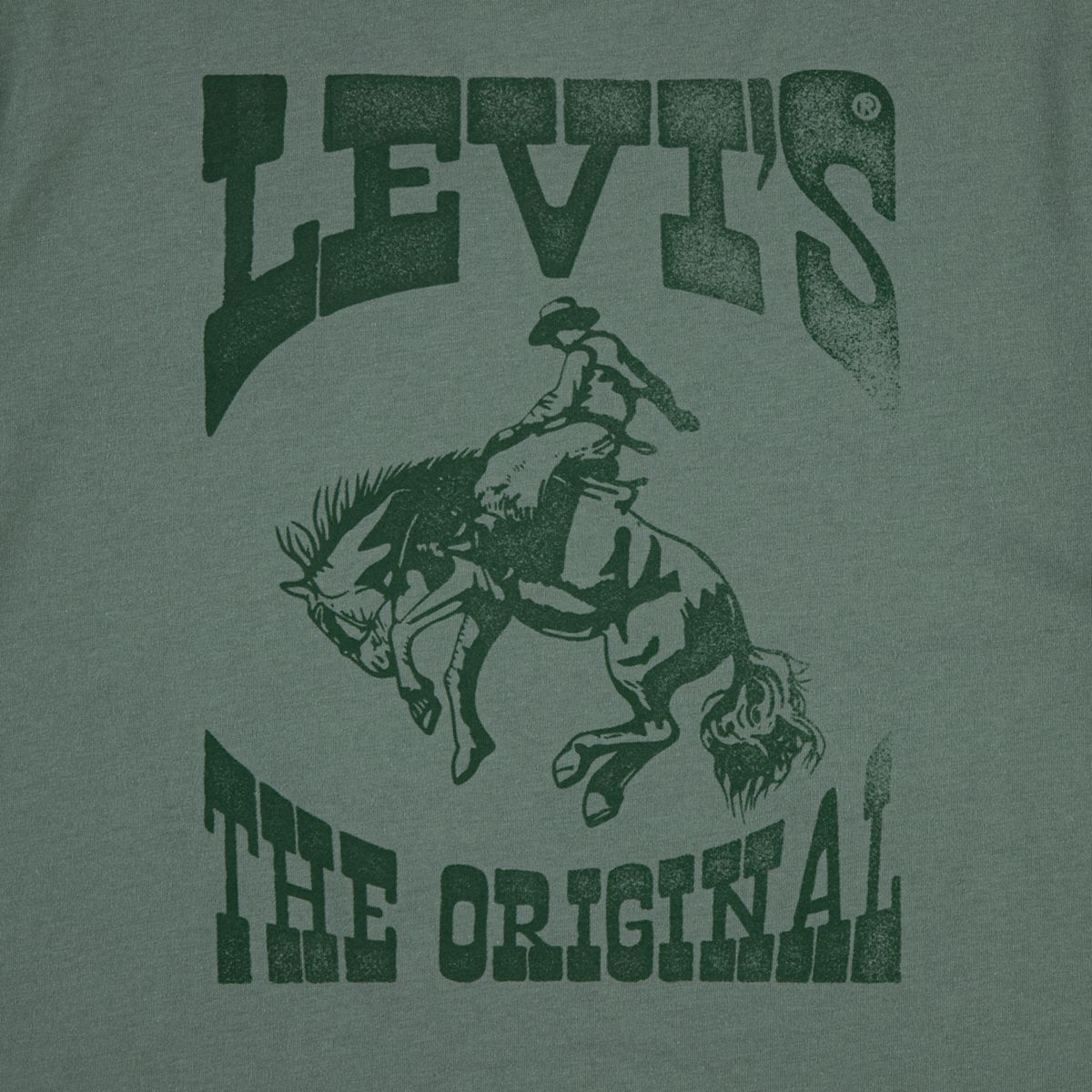 Rodeo Ready Tee Big Boys 8-20 — Laurel Wreath - Green