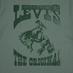 Rodeo Ready Tee Big Boys 8-20 — Laurel Wreath - Green 3