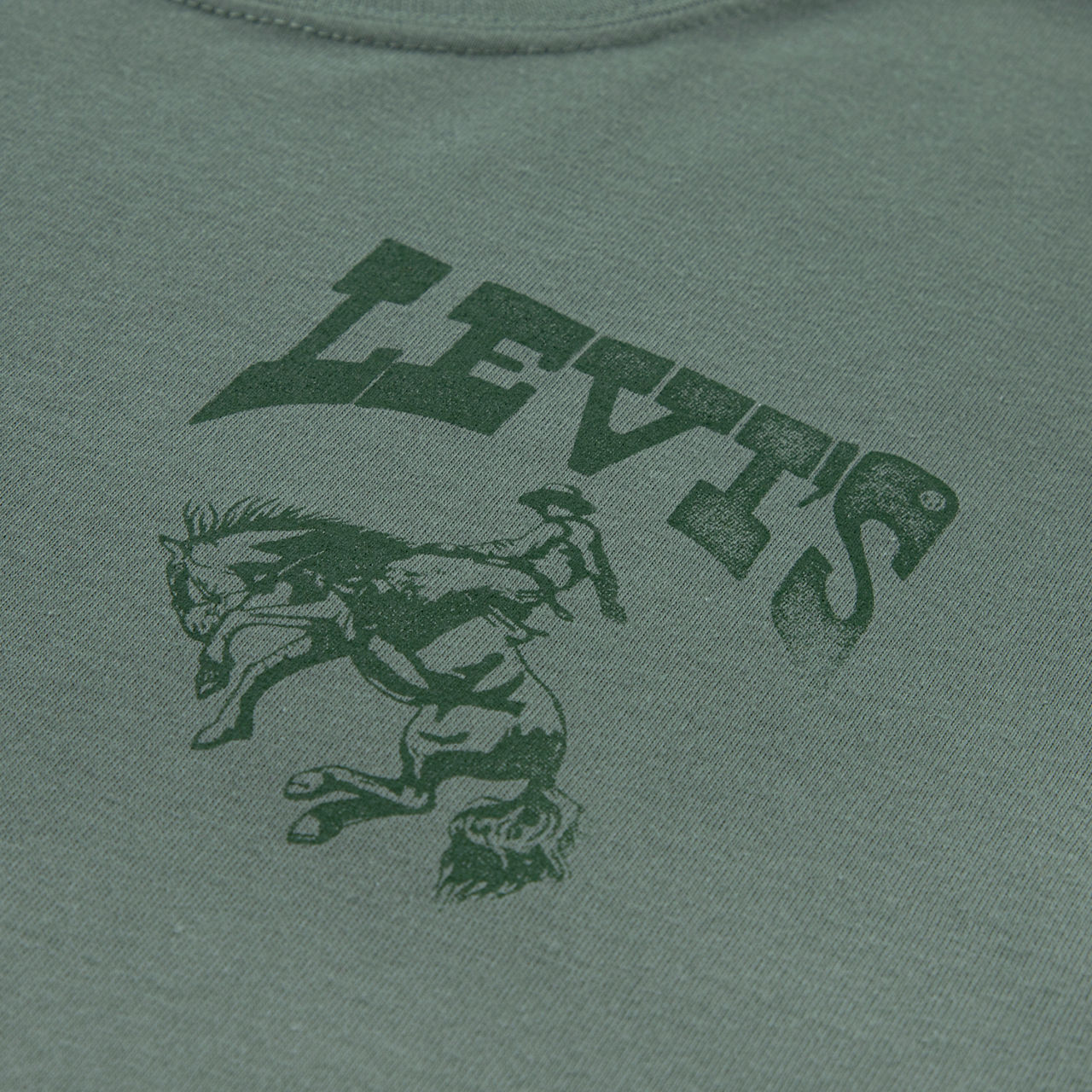 Rodeo Ready Tee Big Boys S-XL 4