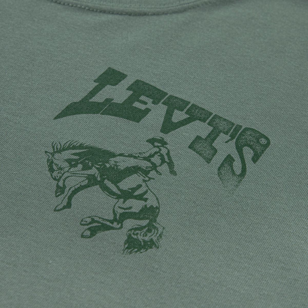 Rodeo Ready Tee Big Boys 8-20 — Laurel Wreath - Green