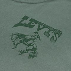 Rodeo Ready Tee Big Boys 8-20 — Laurel Wreath - Green 4