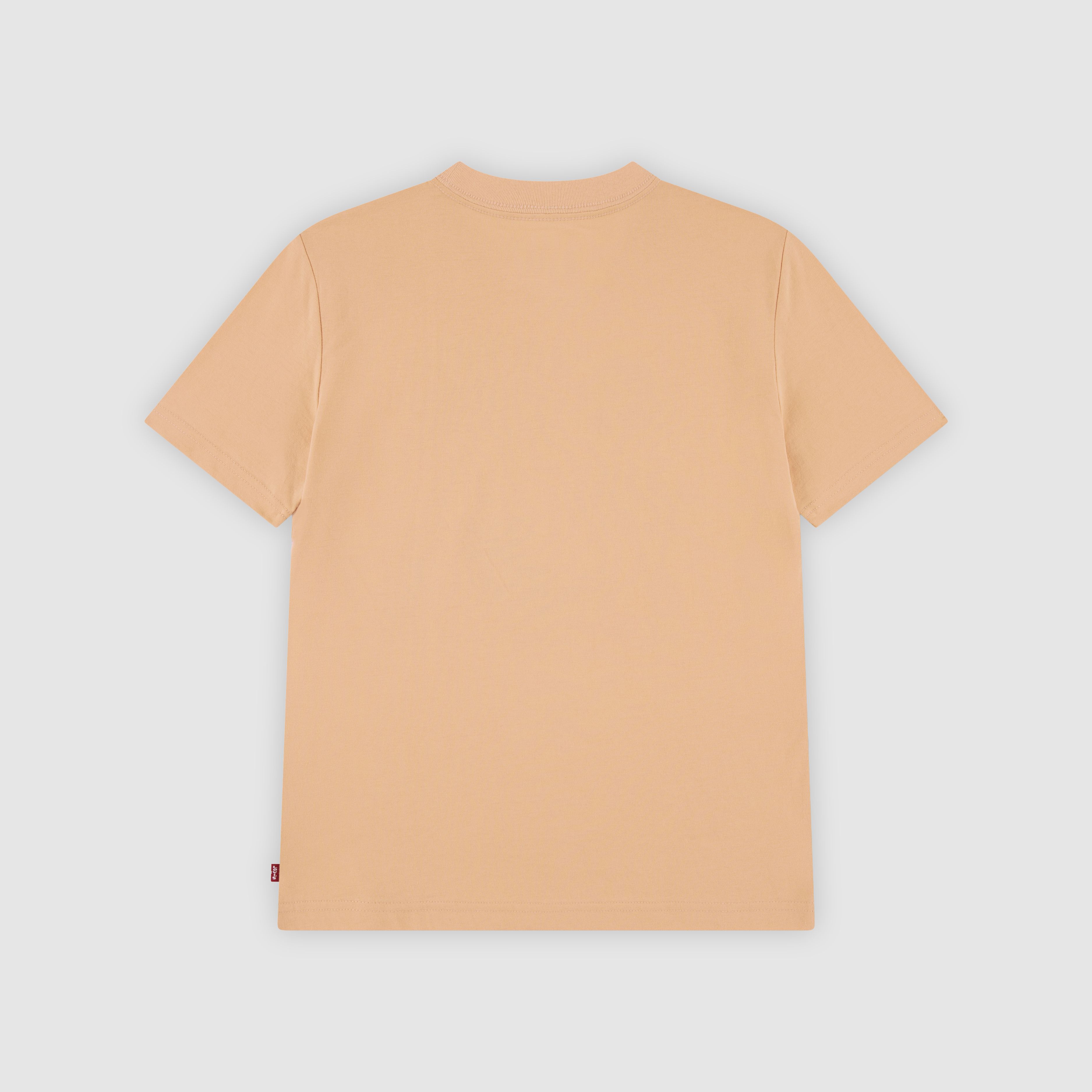 Short Sleeve Relaxing Hot Sauce Graphic Tee Big Boys 8-20 5
