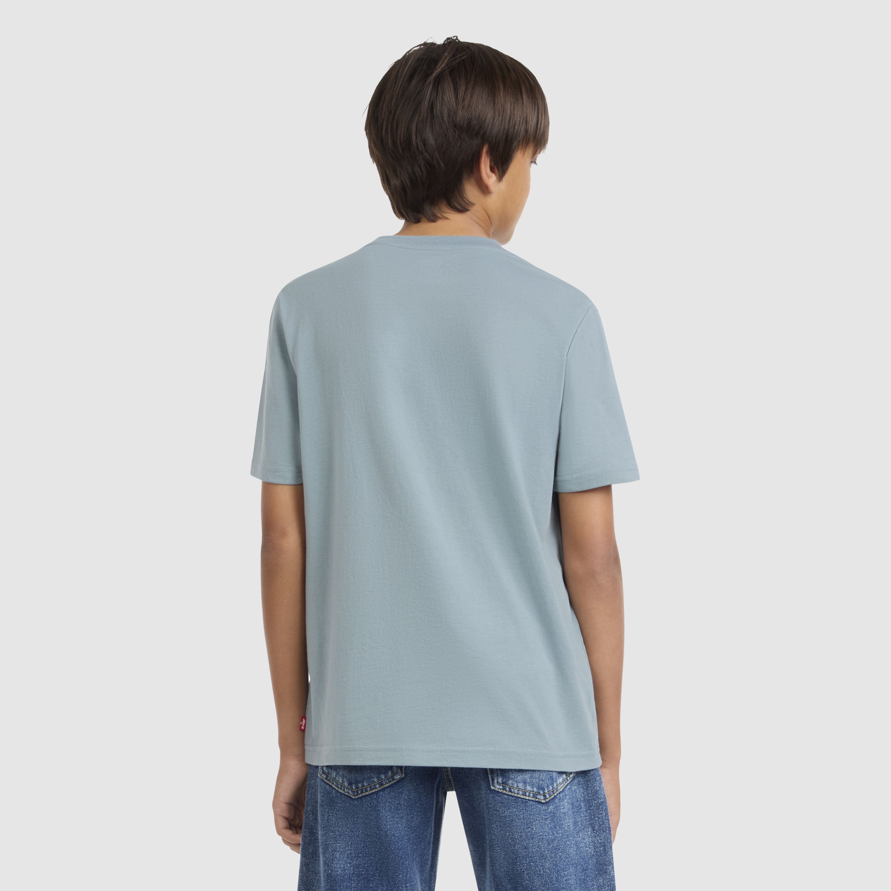 Short Sleeve Parading Hot Dog Graphic Tee Big Boys 8-20 - Grey