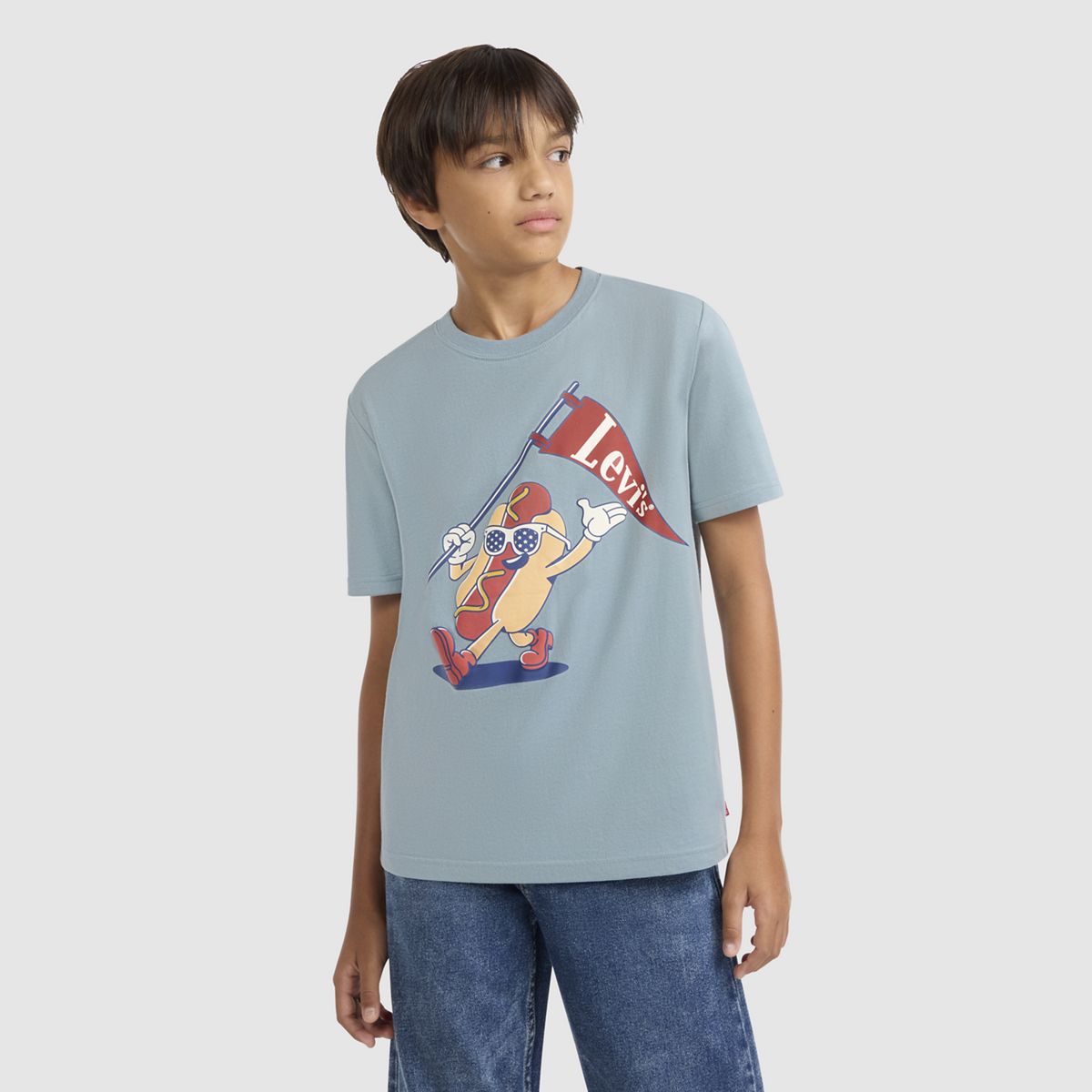 Short Sleeve Parading Hot Dog Graphic Tee Big Boys 8-20 — Lead - Grey
