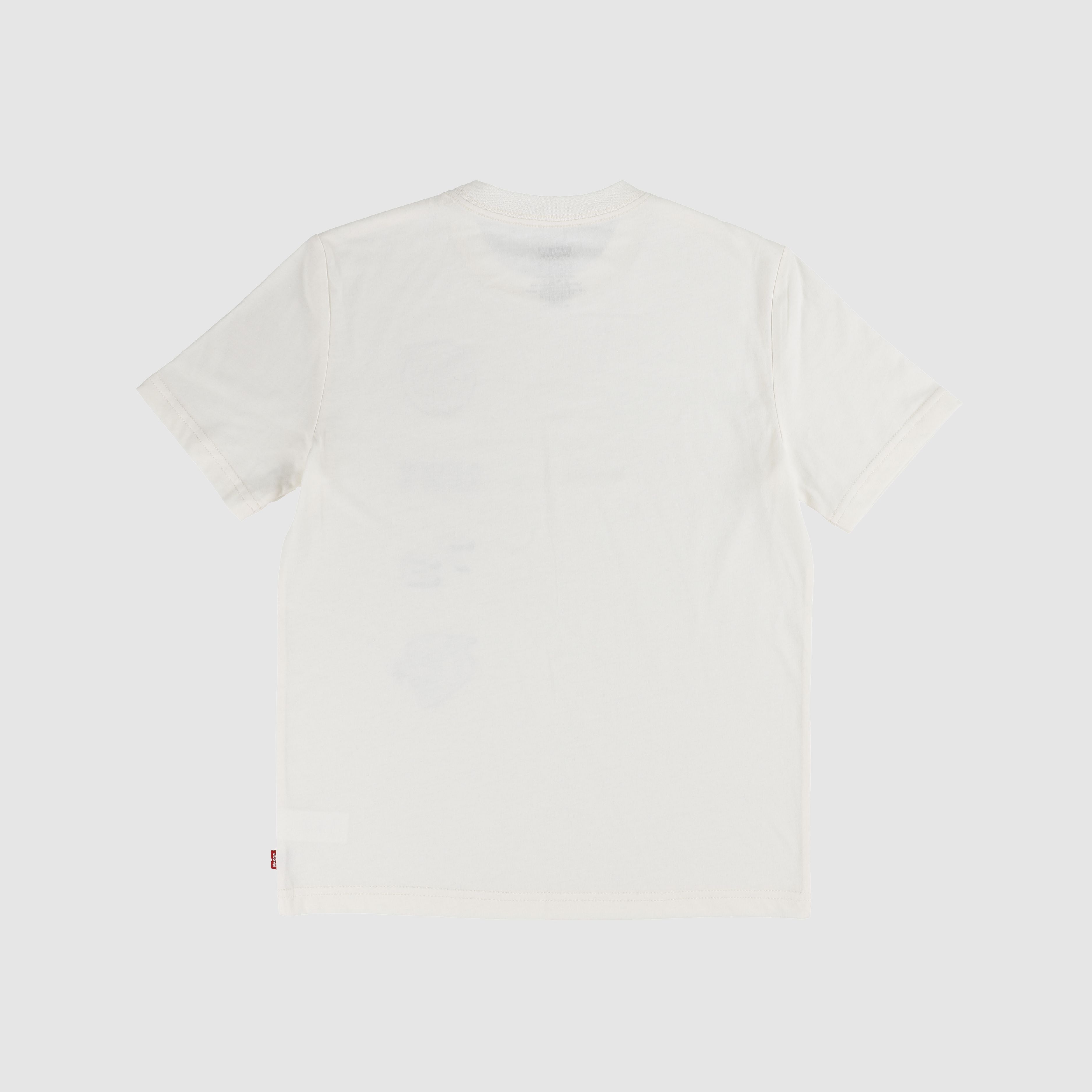 Collegiate Icons Tee Big Boys 8-20 2