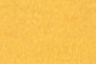 Golden Spice - Yellow