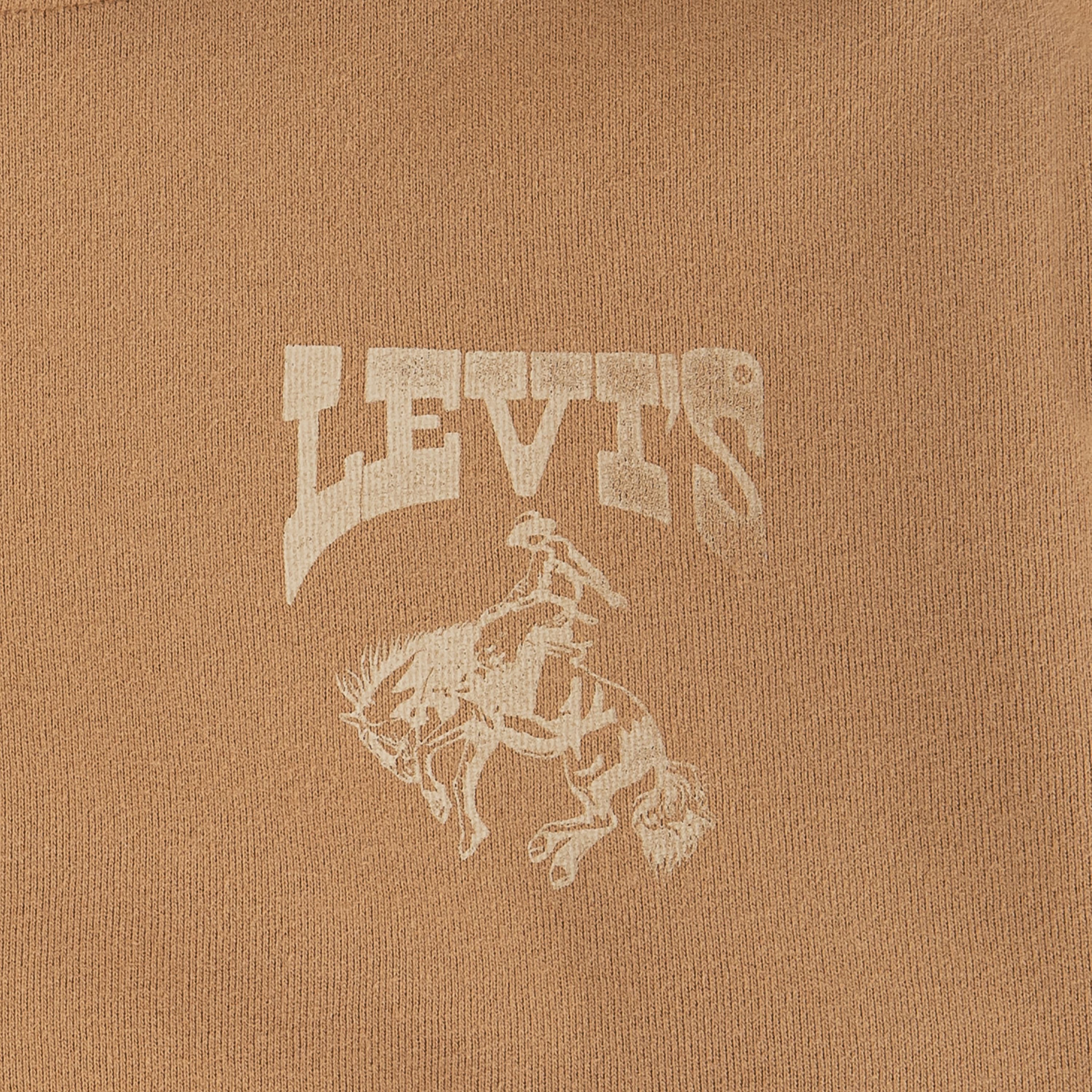 Rodeo Ready Hoodie Big Boys S-XL 3