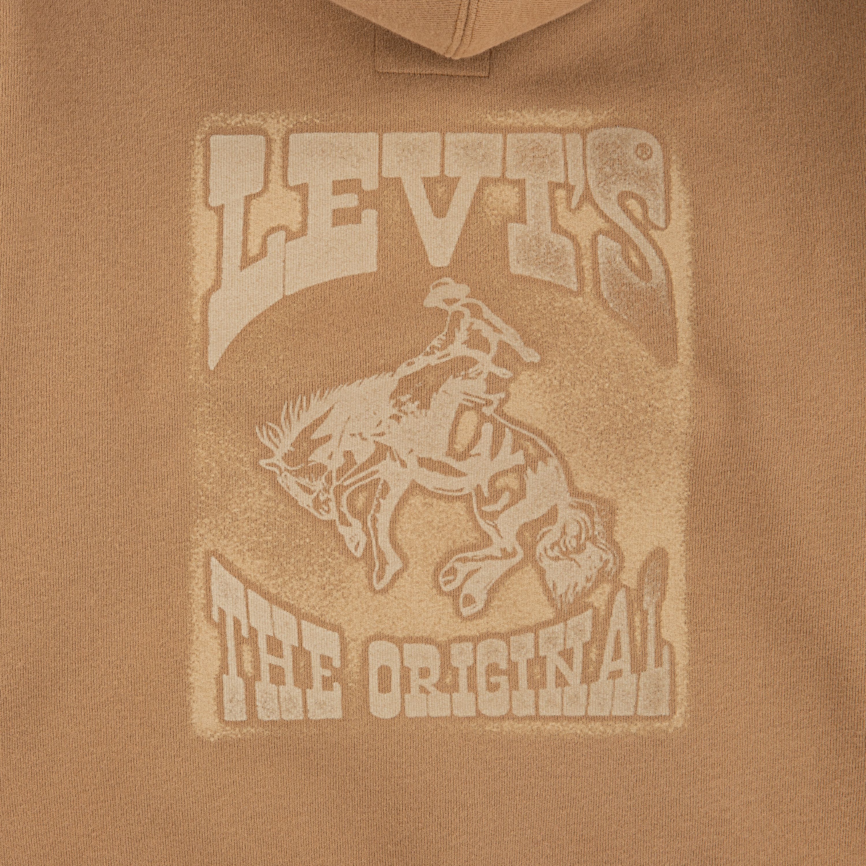 Rodeo Ready Hoodie Big Boys S-XL 5