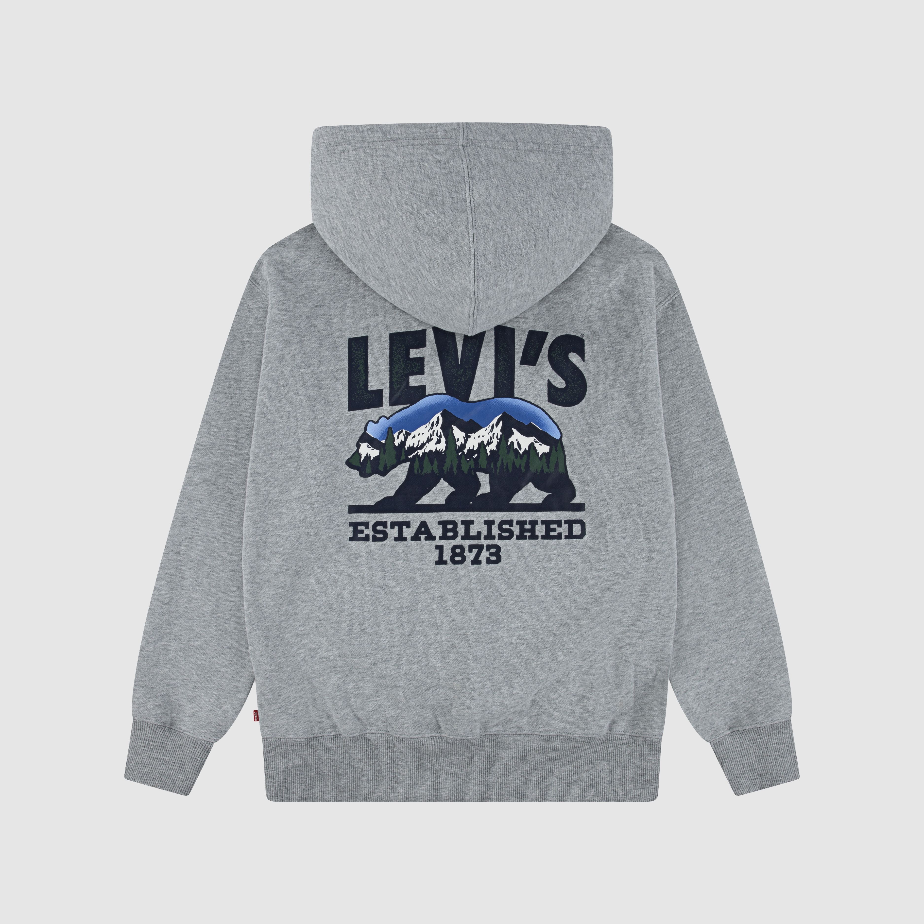 Winter Bear Hoodie 2