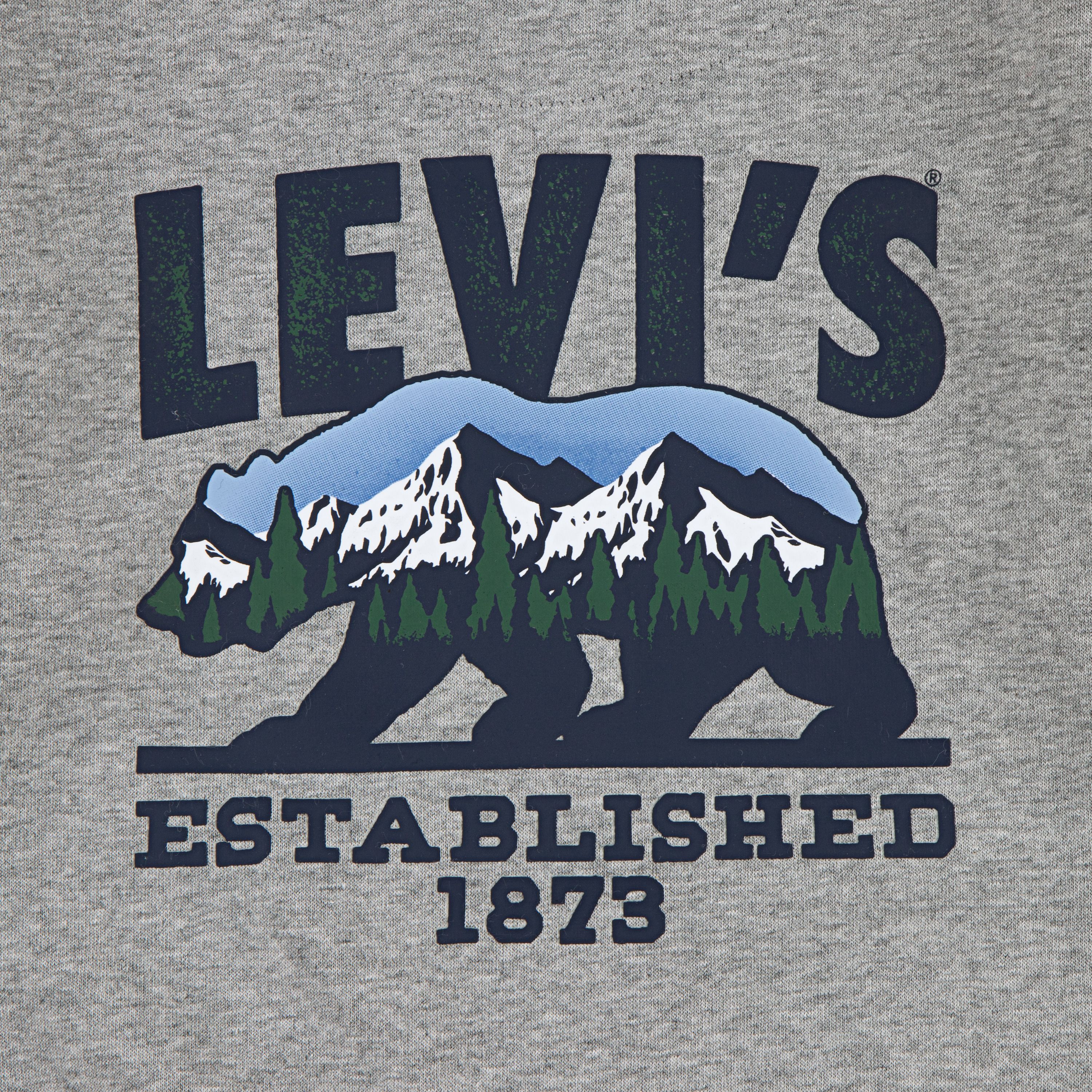 Winter Bear Hoodie 3