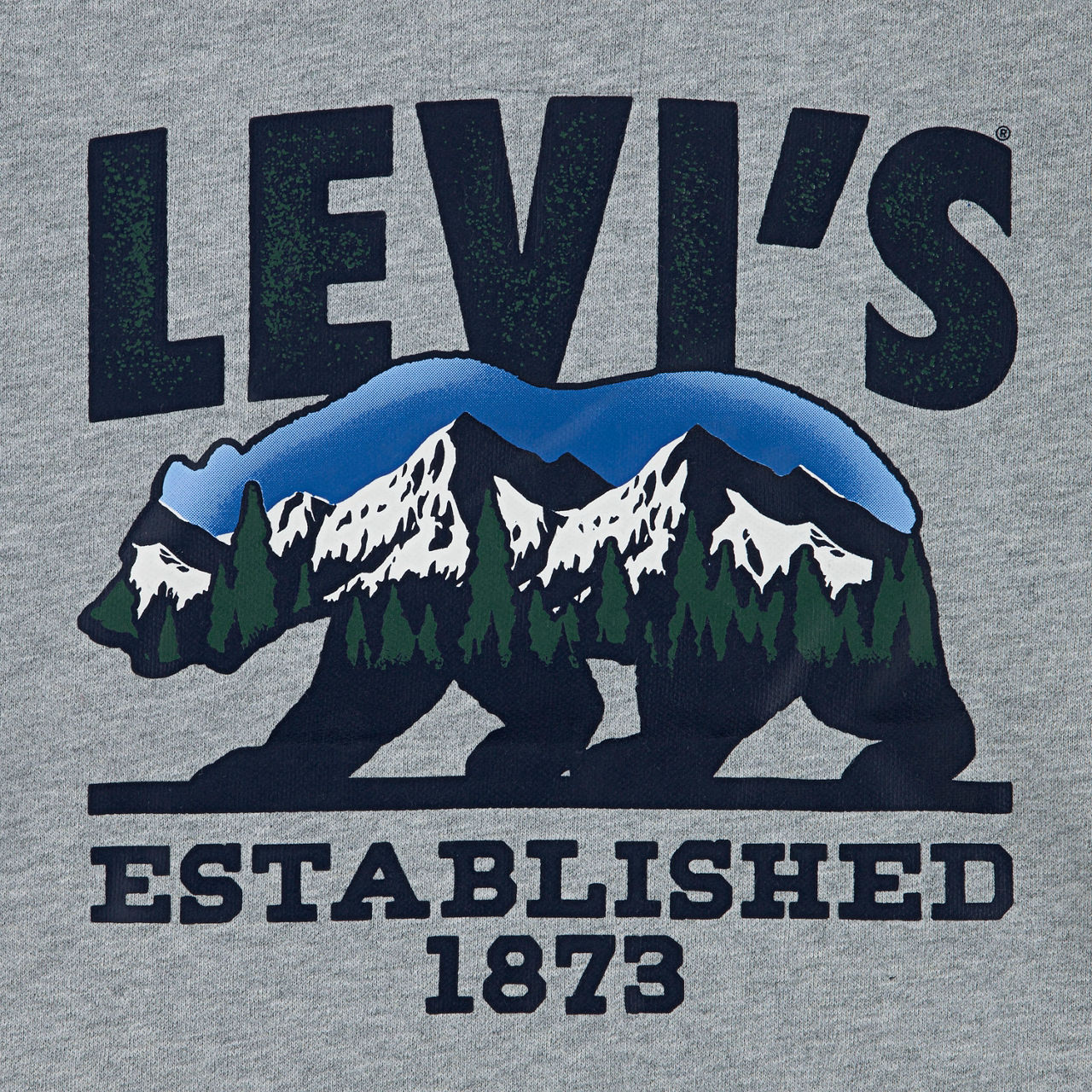 Winter Bear Hoodie 3