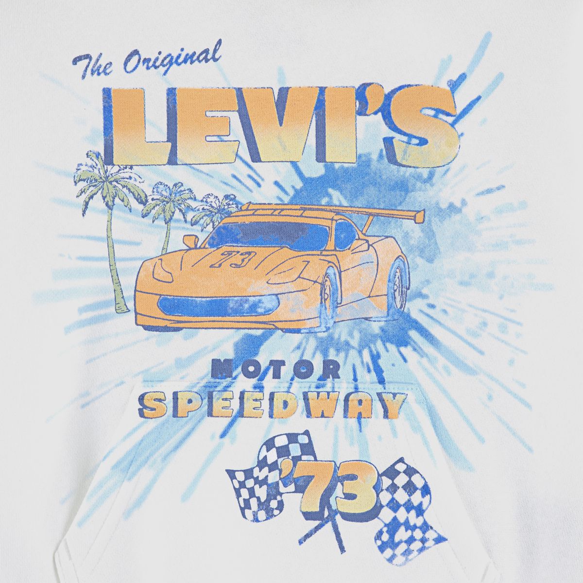 Motor Speedway Graphic Pullover Hoodie Little Boys 4-7 — Bright White