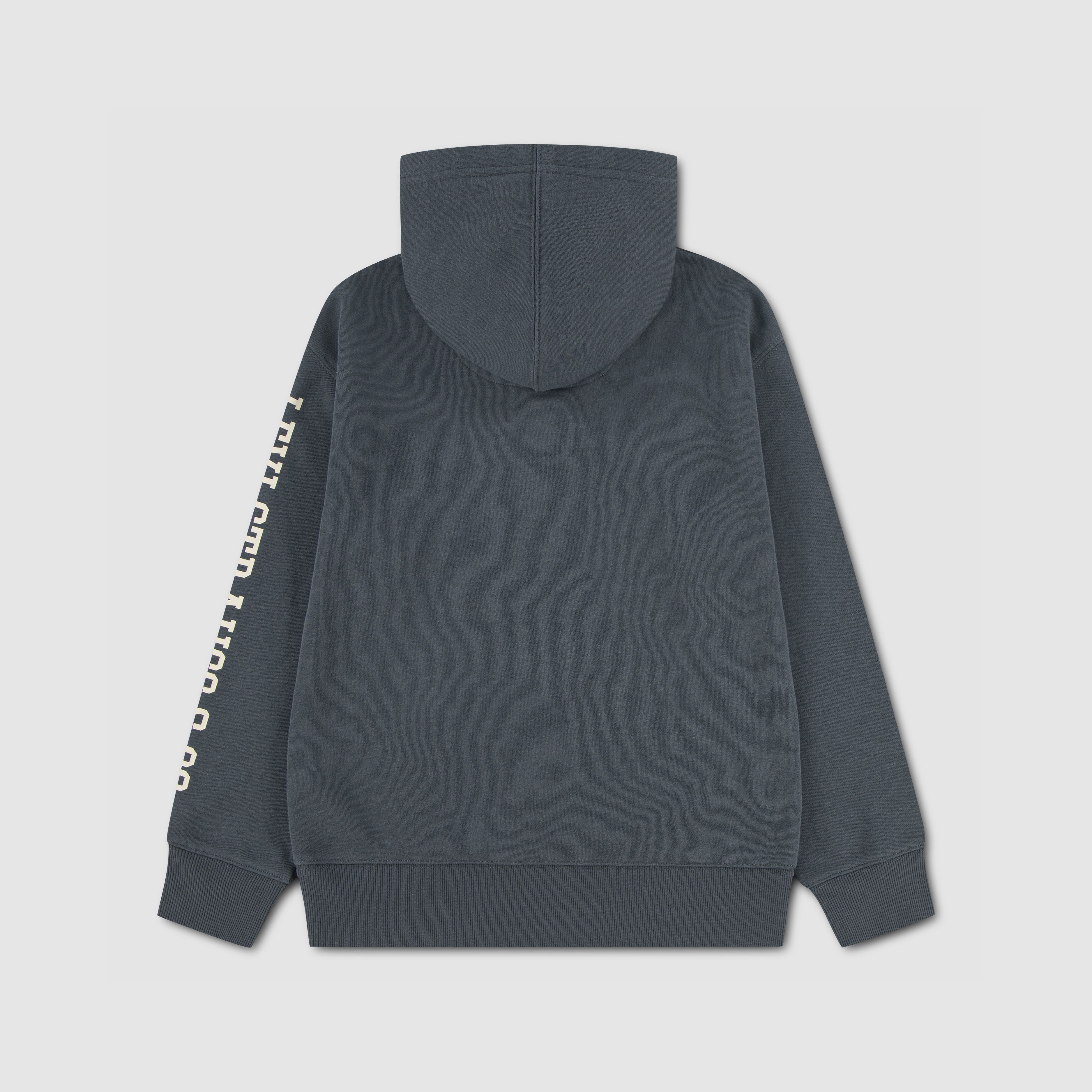Sleeve Hit Hoodie Little Boys 4-7 2