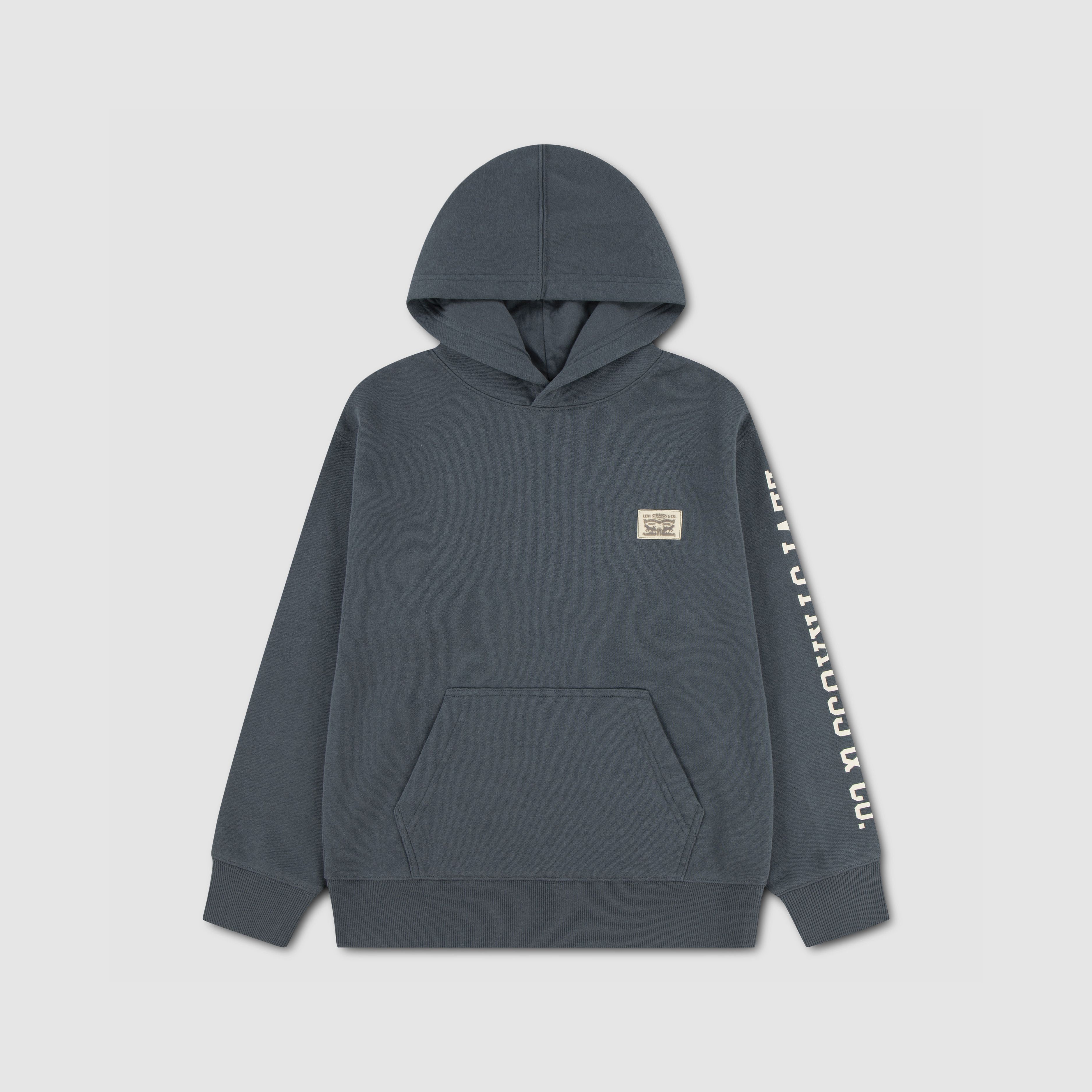 Sleeve Hit Hoodie Little Boys 4-7 1