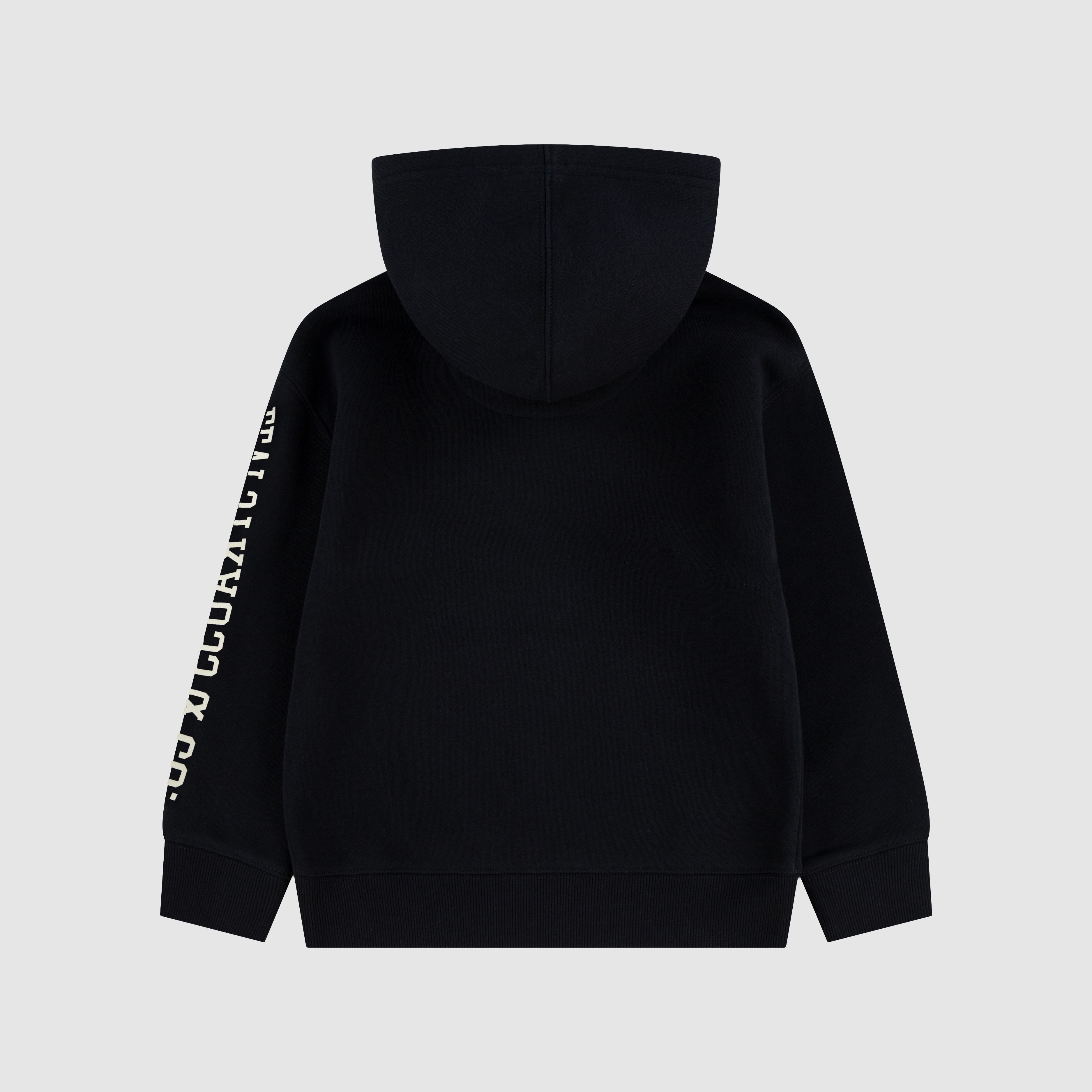 Sleeve Hit Hoodie Little Boys 4-7 2