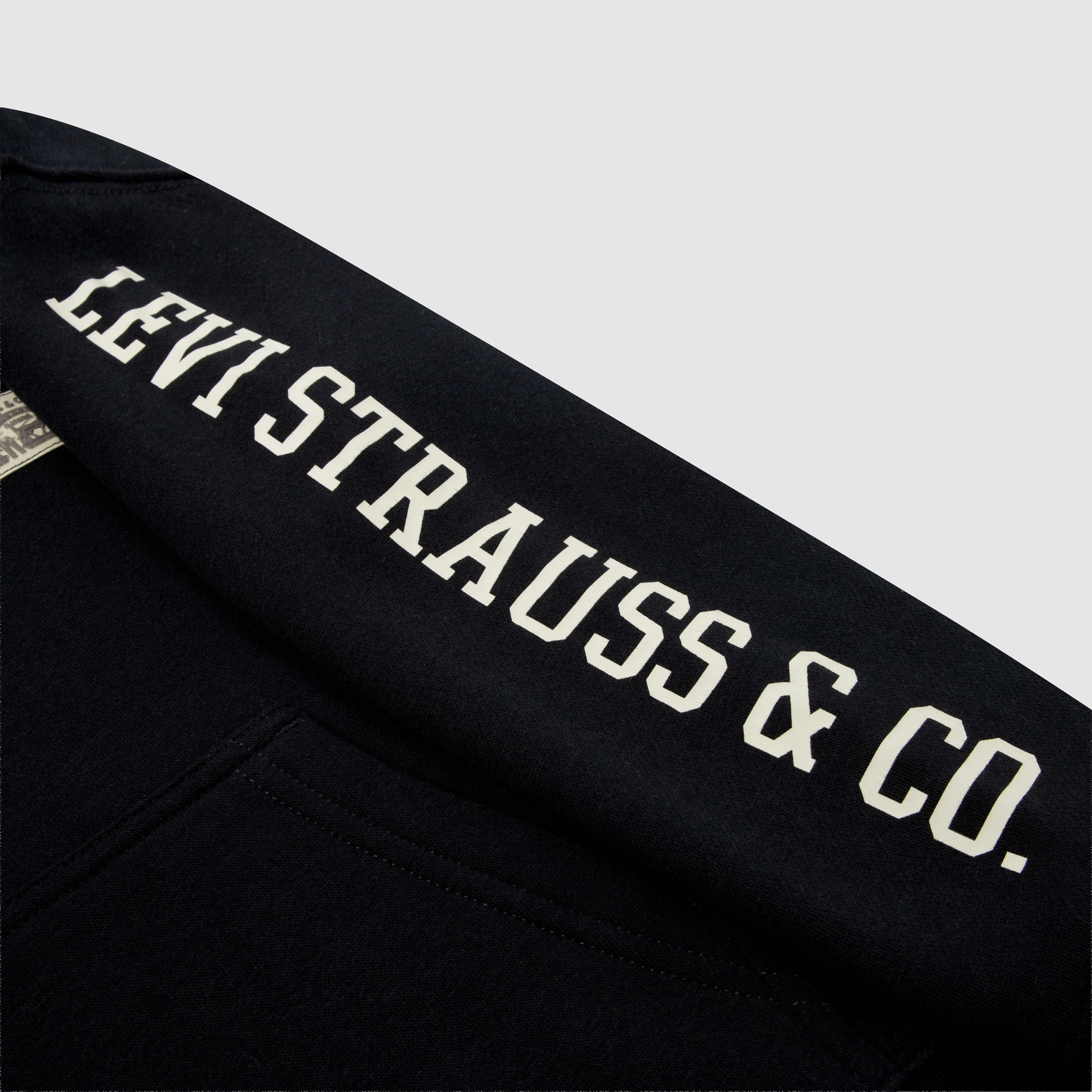 Sleeve Hit Hoodie Little Boys 4-7 4