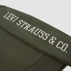 Sleeve Hit Hoodie Little Boys 4-7 — Olive Night - Green 3