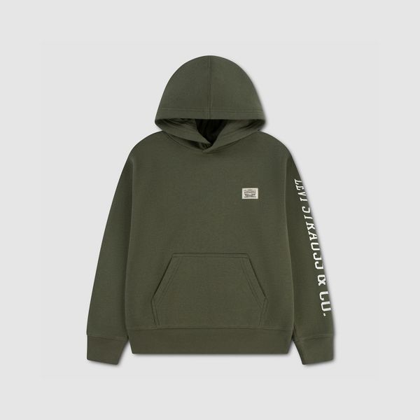Sleeve Hit Hoodie Little Boys 4-7 — Olive Night - Green