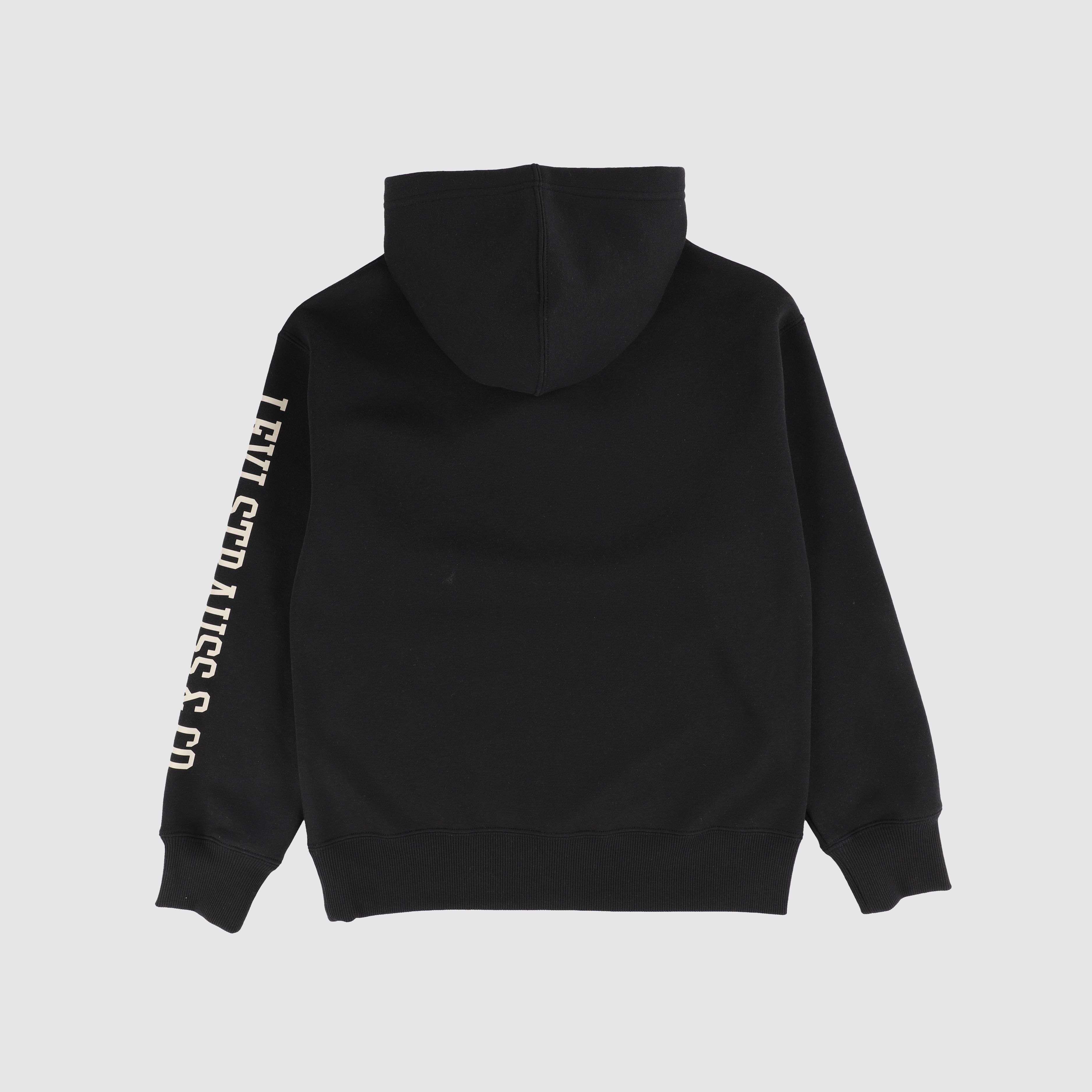 Sleeve Hit Hoodie Big Boys 8-20 2