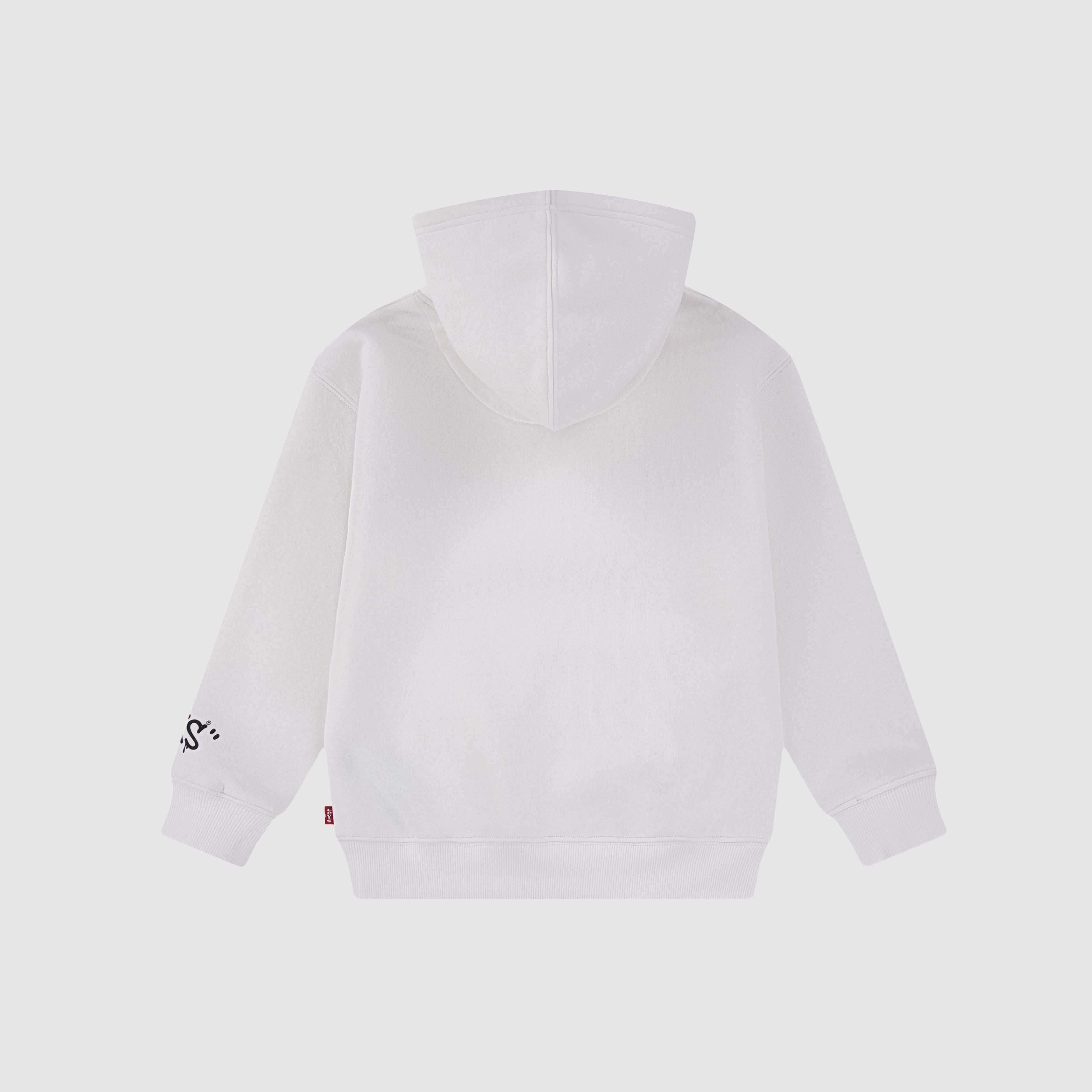 Street Style Hoodie Little Boys 4-7 2