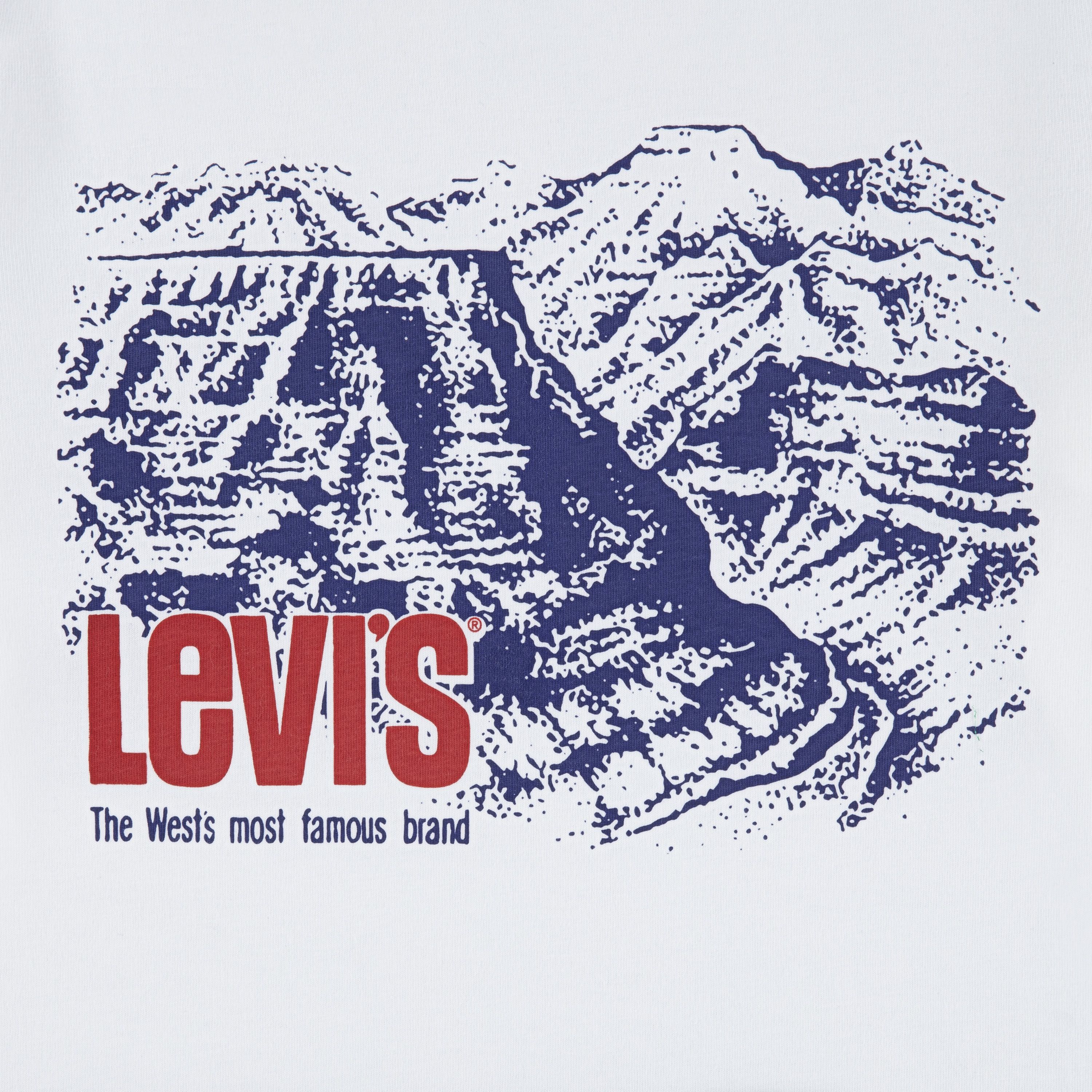 Canyon Longsleeve Tee Big Boys 8-20 6