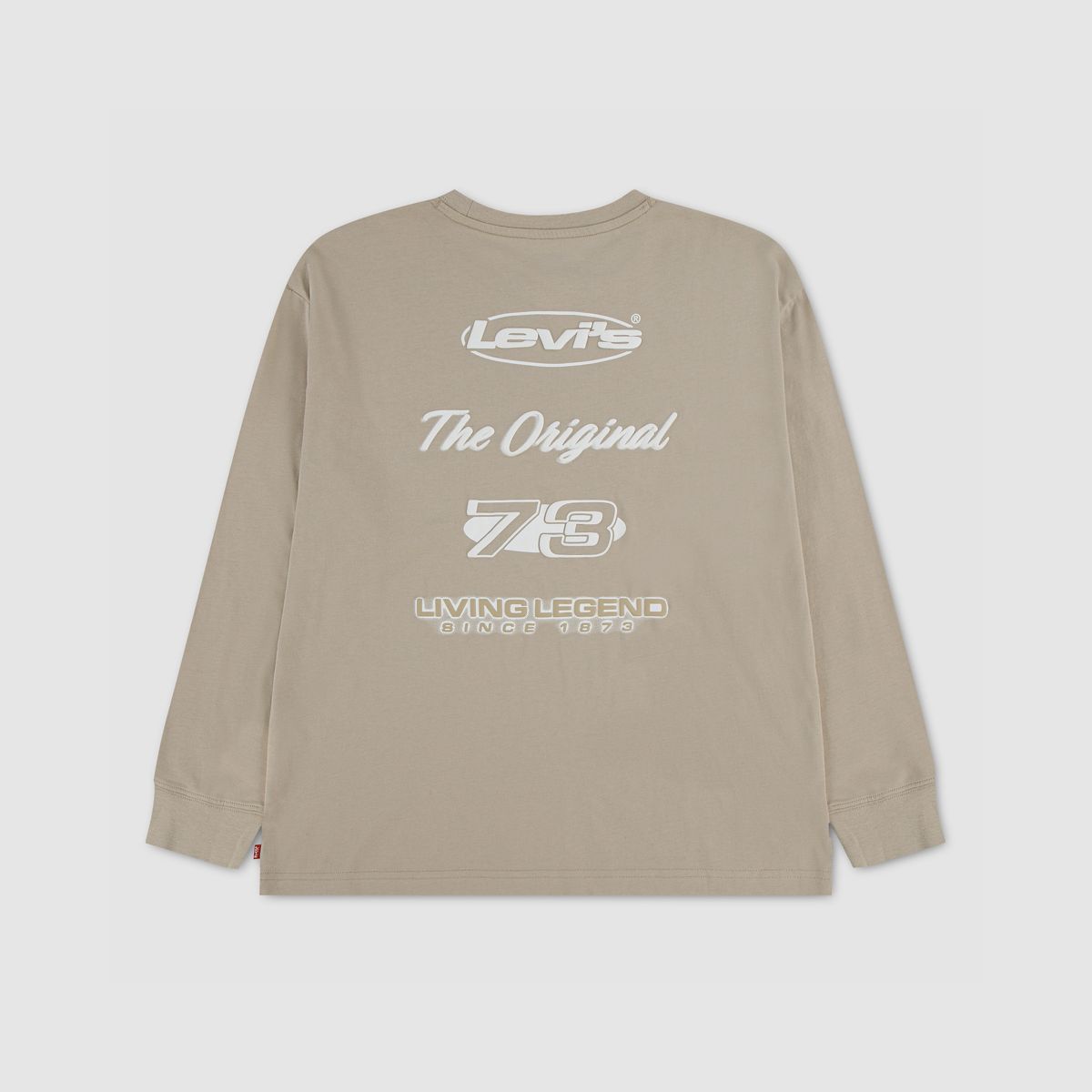 City Style Longsleeve Tee Big Boys 8-20 — Fields Of Rye - Brown