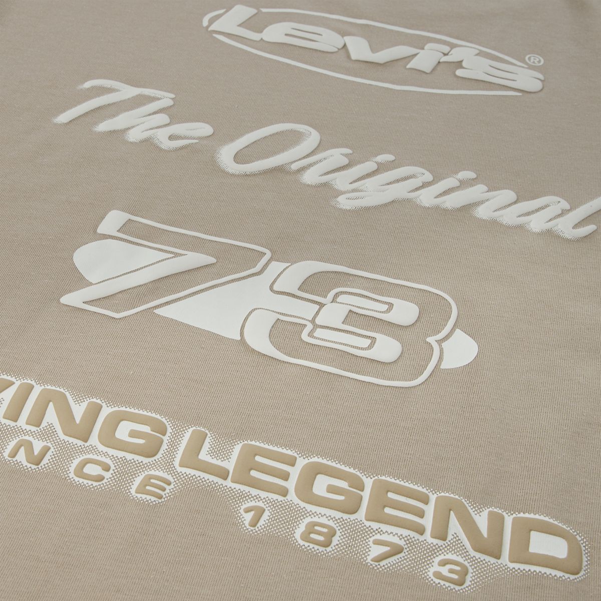 City Style Longsleeve Tee Big Boys 8-20 — Fields Of Rye - Brown
