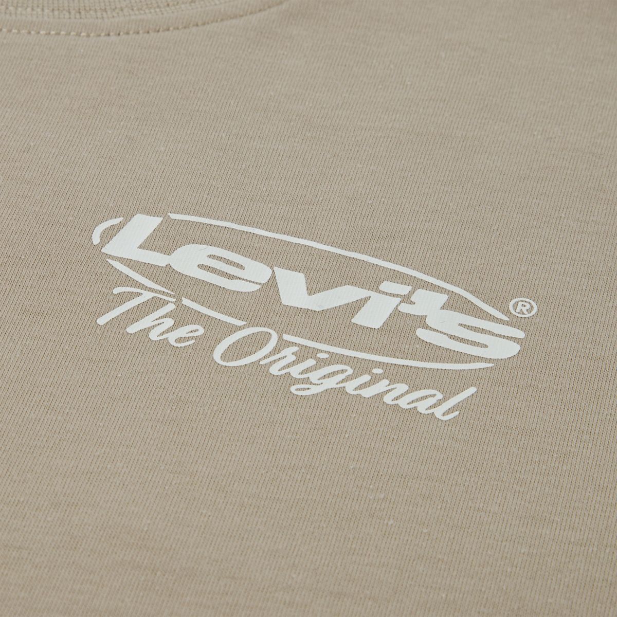 City Style Longsleeve Tee Big Boys 8-20 — Fields Of Rye - Brown