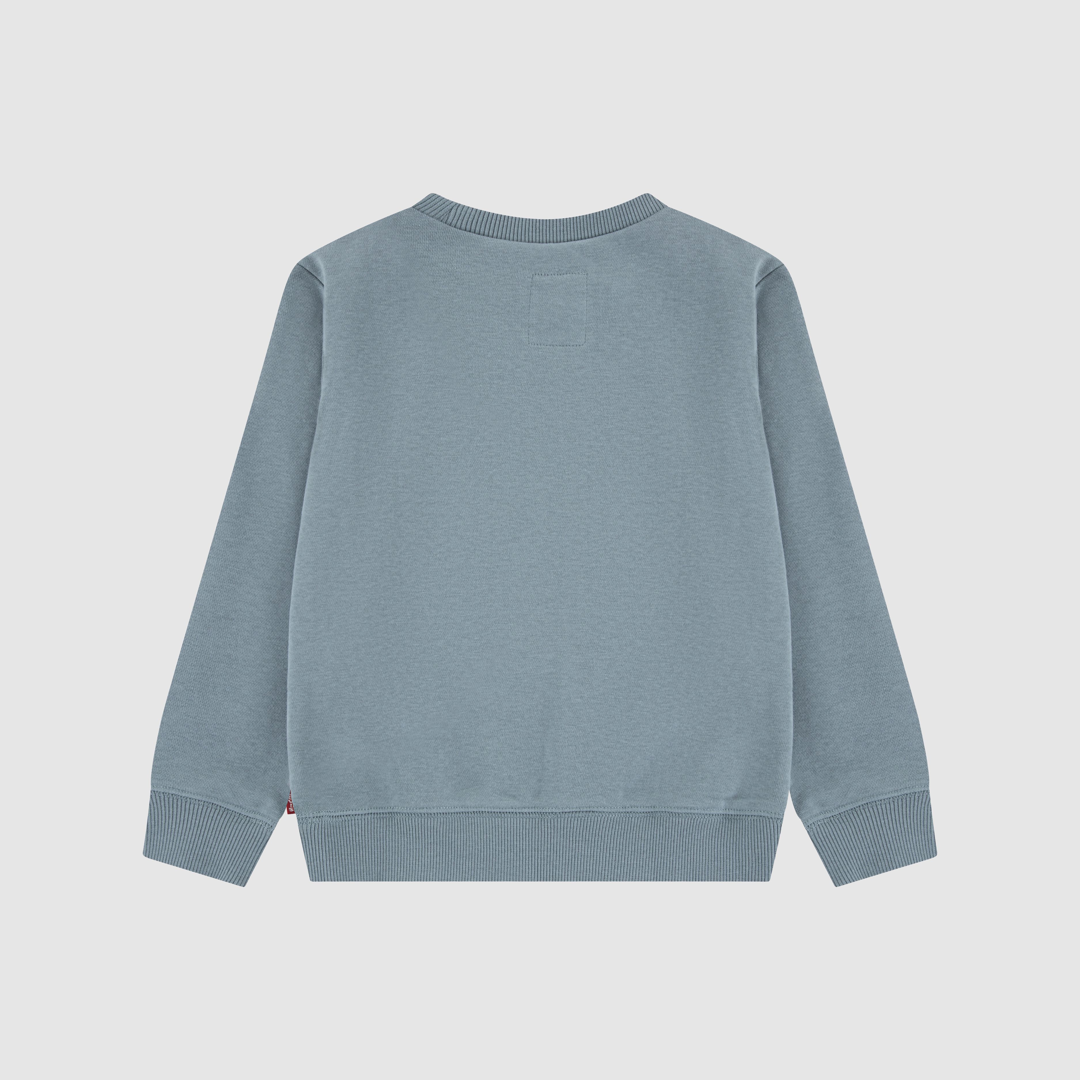 Teenager Batwing French Terry Pullover 2