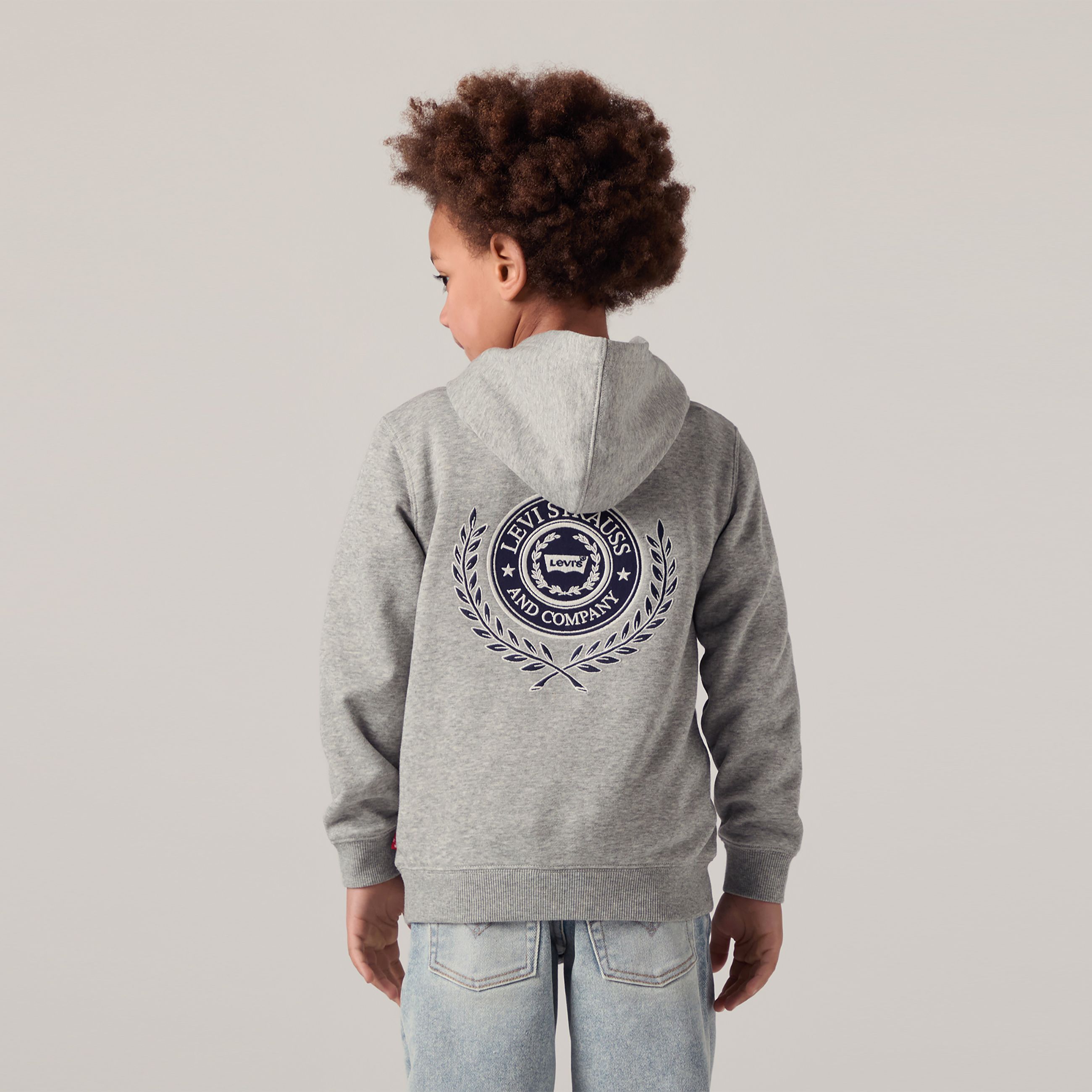 Kids Modern Crest Pullover Hoodie - Grey | Levi's® GB