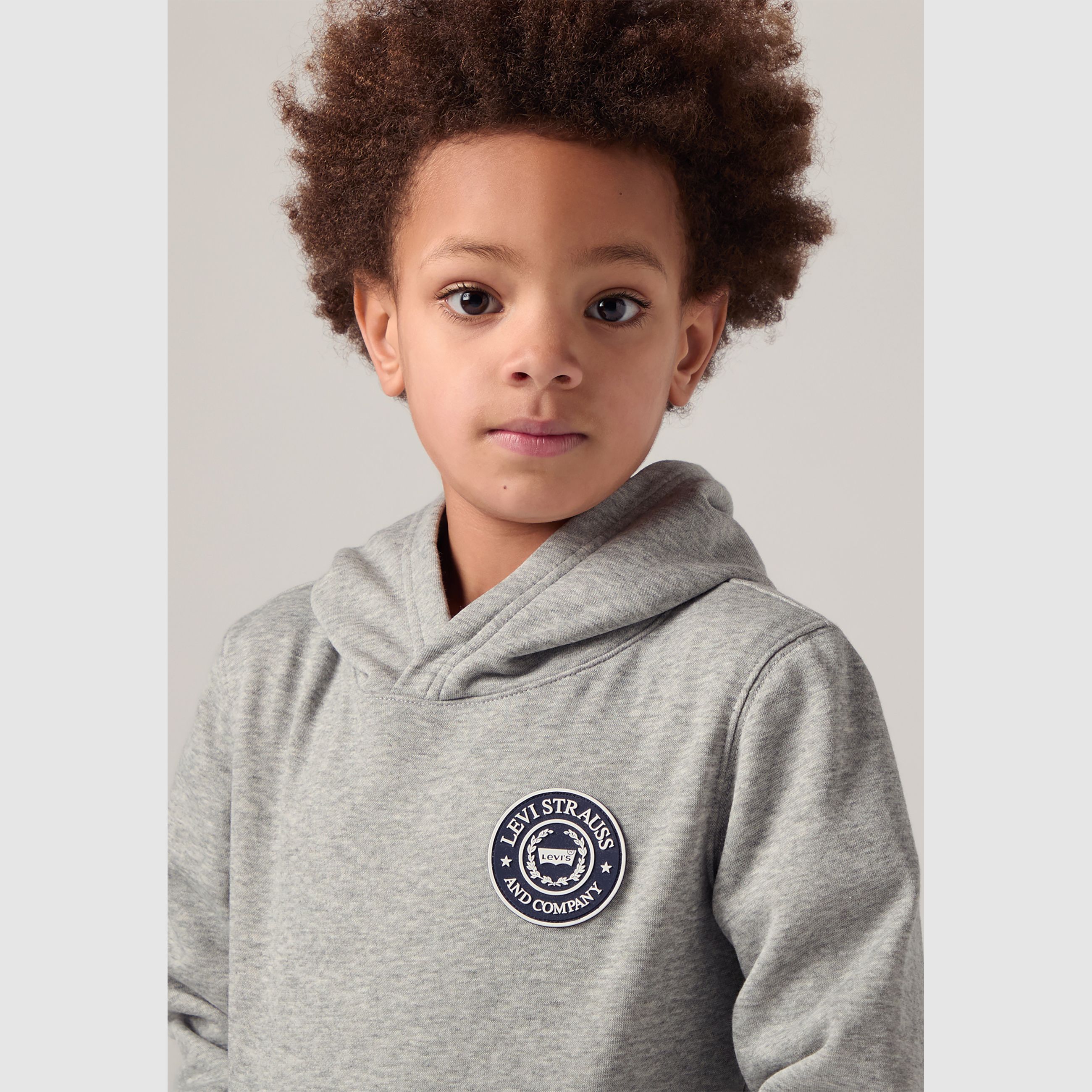 Kids Modern Crest Pullover Hoodie - Grey | Levi's® GB